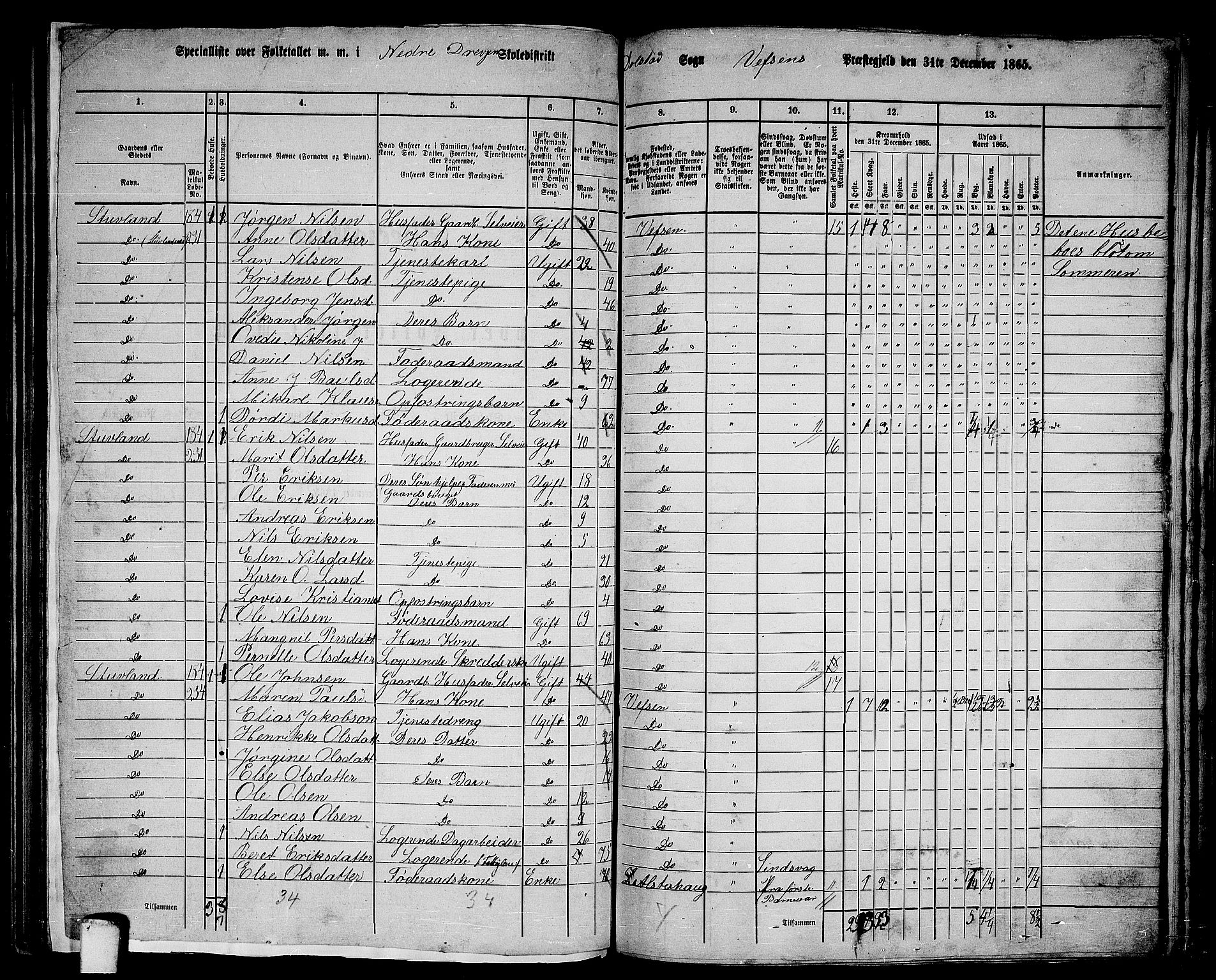 RA, 1865 census for Vefsn, 1865, p. 176