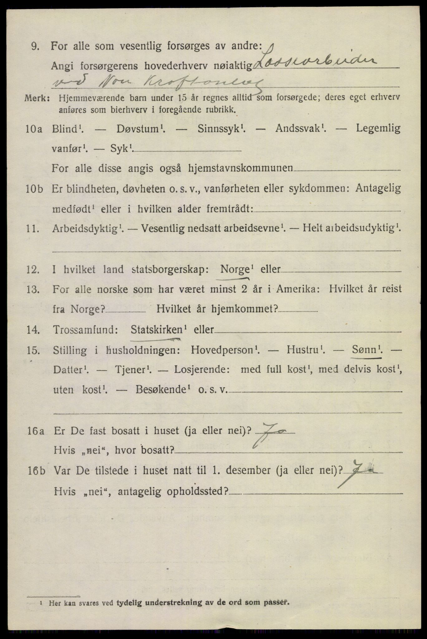 SAKO, 1920 census for Nore, 1920, p. 5033