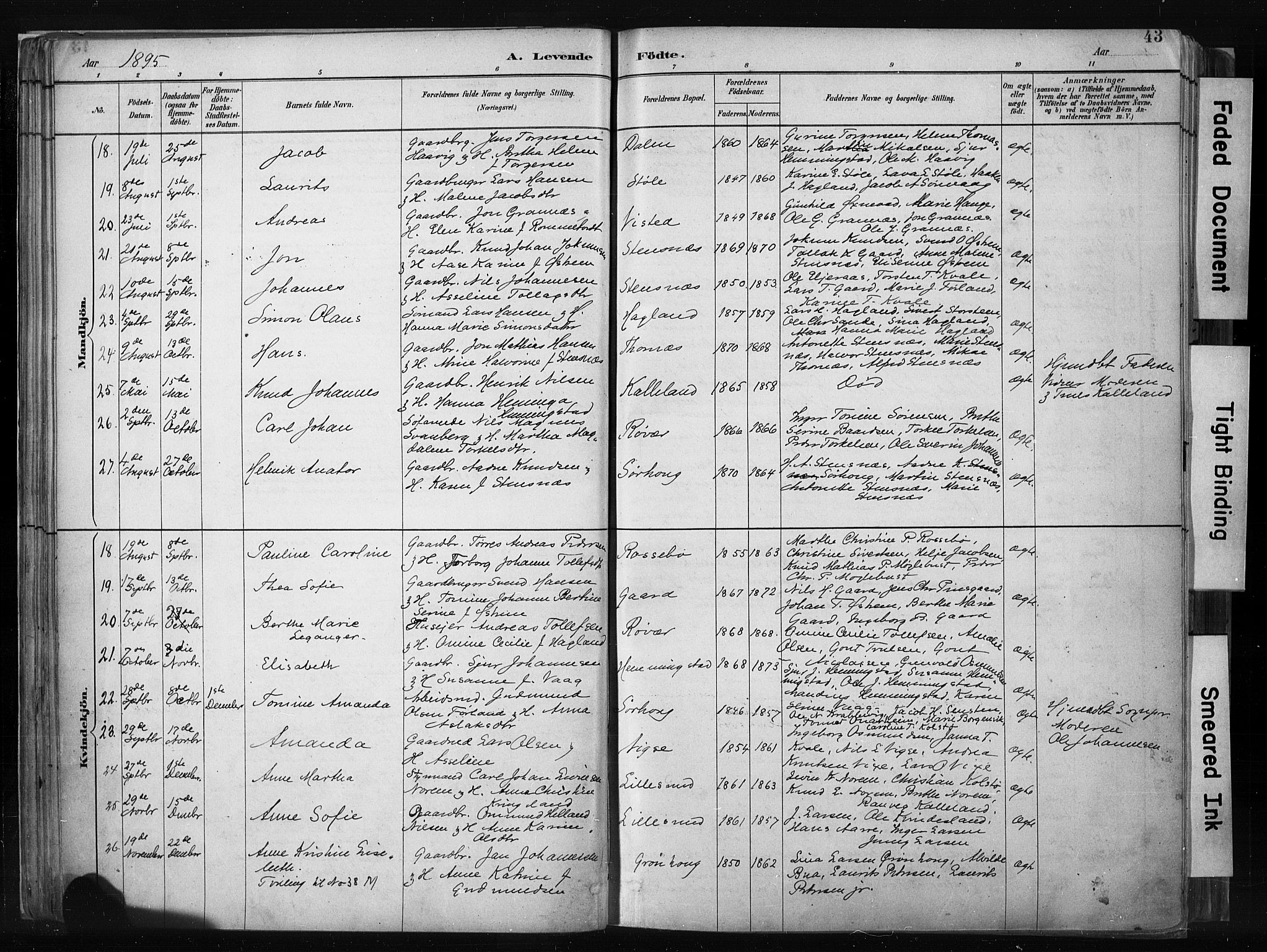 Haugesund sokneprestkontor, AV/SAST-A -101863/H/Ha/Haa/L0004: Parish register (official) no. A 4, 1886-1908, p. 43