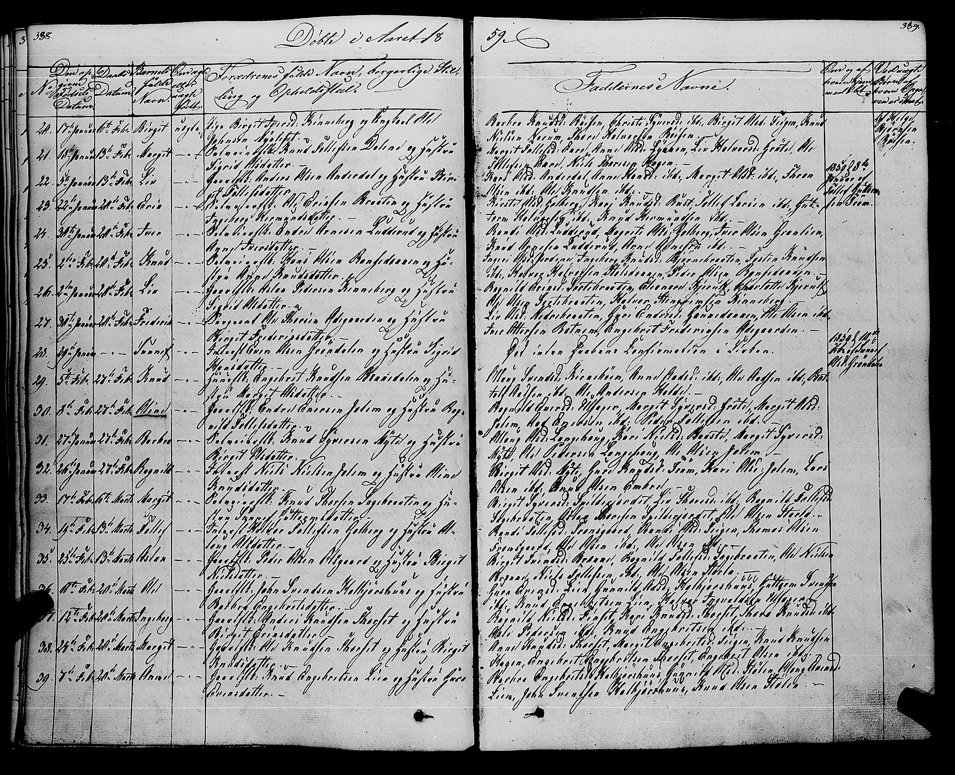 Gol kirkebøker, AV/SAKO-A-226/F/Fa/L0002: Parish register (official) no. I 2, 1837-1863, p. 338-339