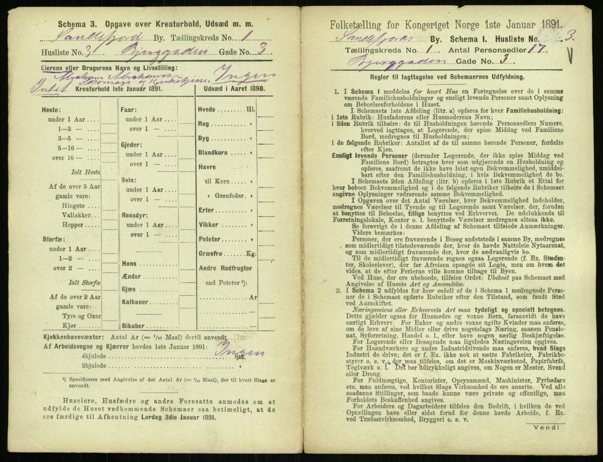 RA, 1891 census for 0706 Sandefjord, 1891, p. 31