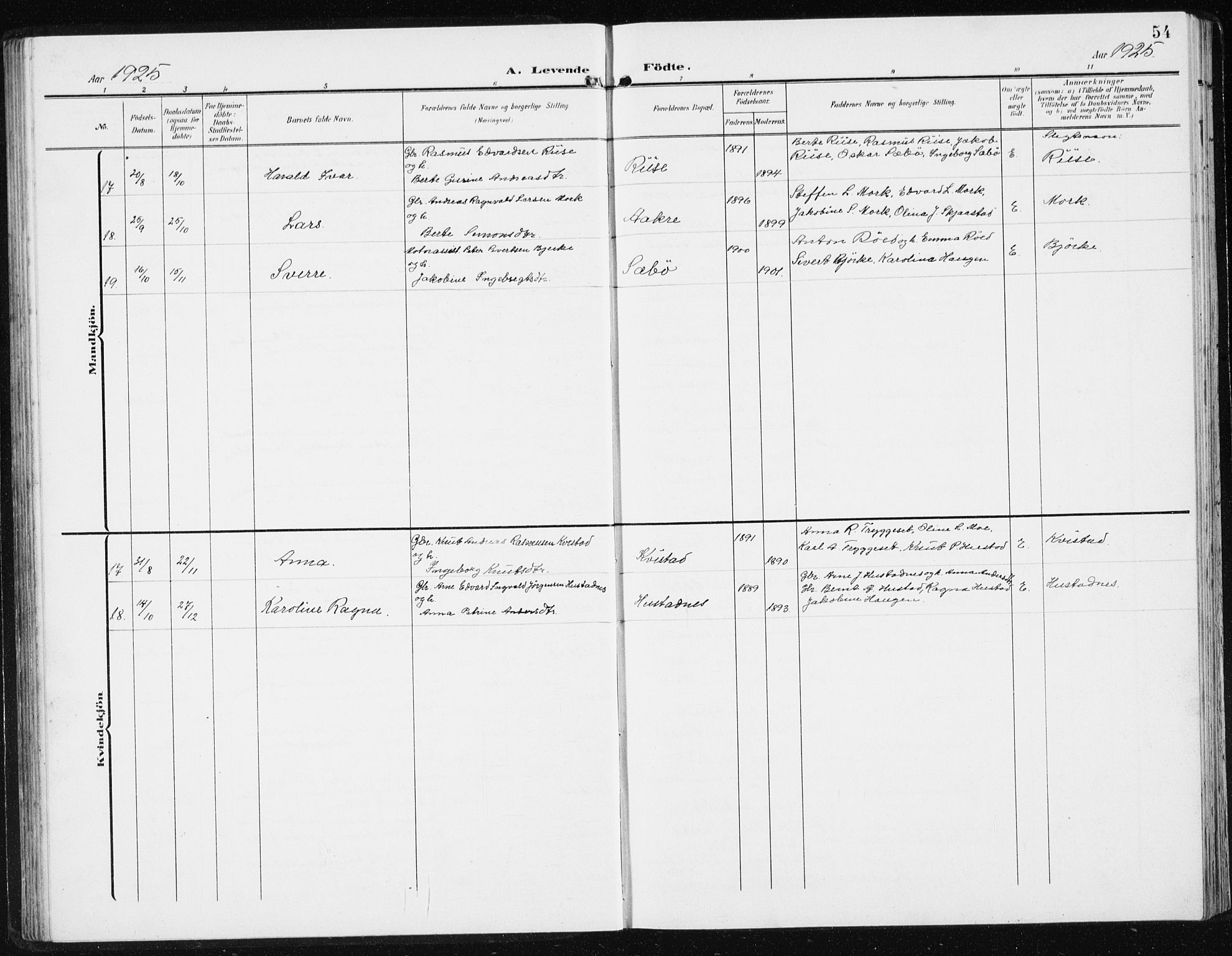 Ministerialprotokoller, klokkerbøker og fødselsregistre - Møre og Romsdal, SAT/A-1454/515/L0216: Parish register (copy) no. 515C03, 1906-1941, p. 54