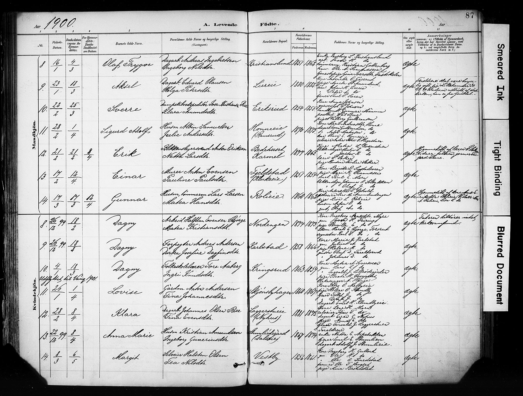 Biri prestekontor, SAH/PREST-096/H/Ha/Haa/L0009: Parish register (official) no. 9, 1887-1900, p. 87