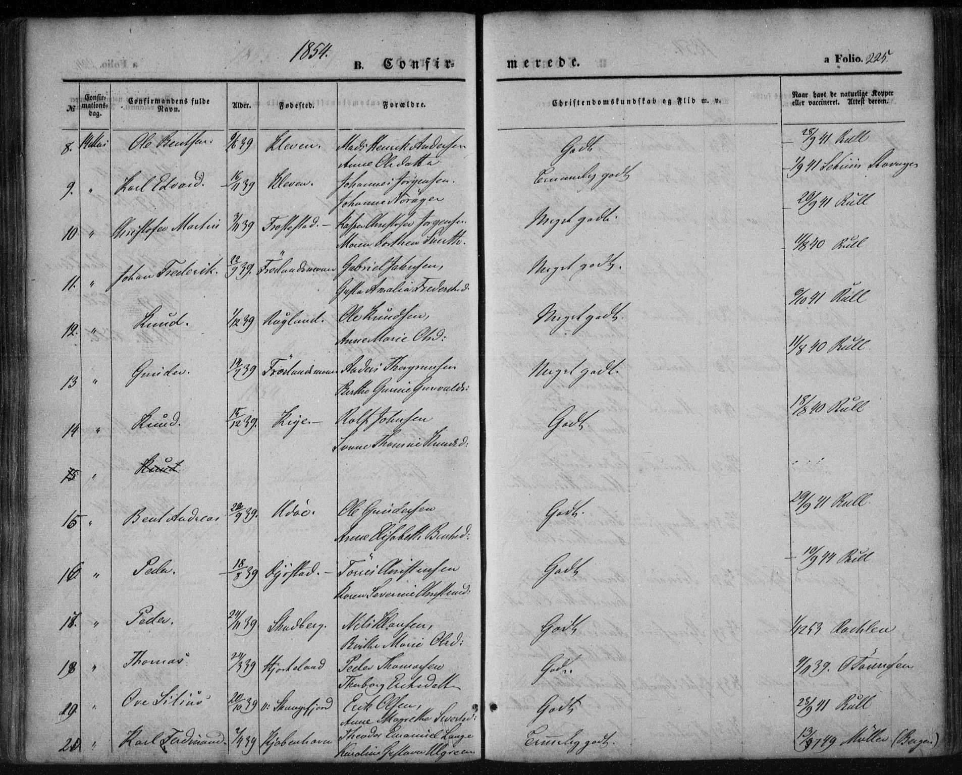 Mandal sokneprestkontor, SAK/1111-0030/F/Fa/Faa/L0013: Parish register (official) no. A 13, 1847-1859, p. 225