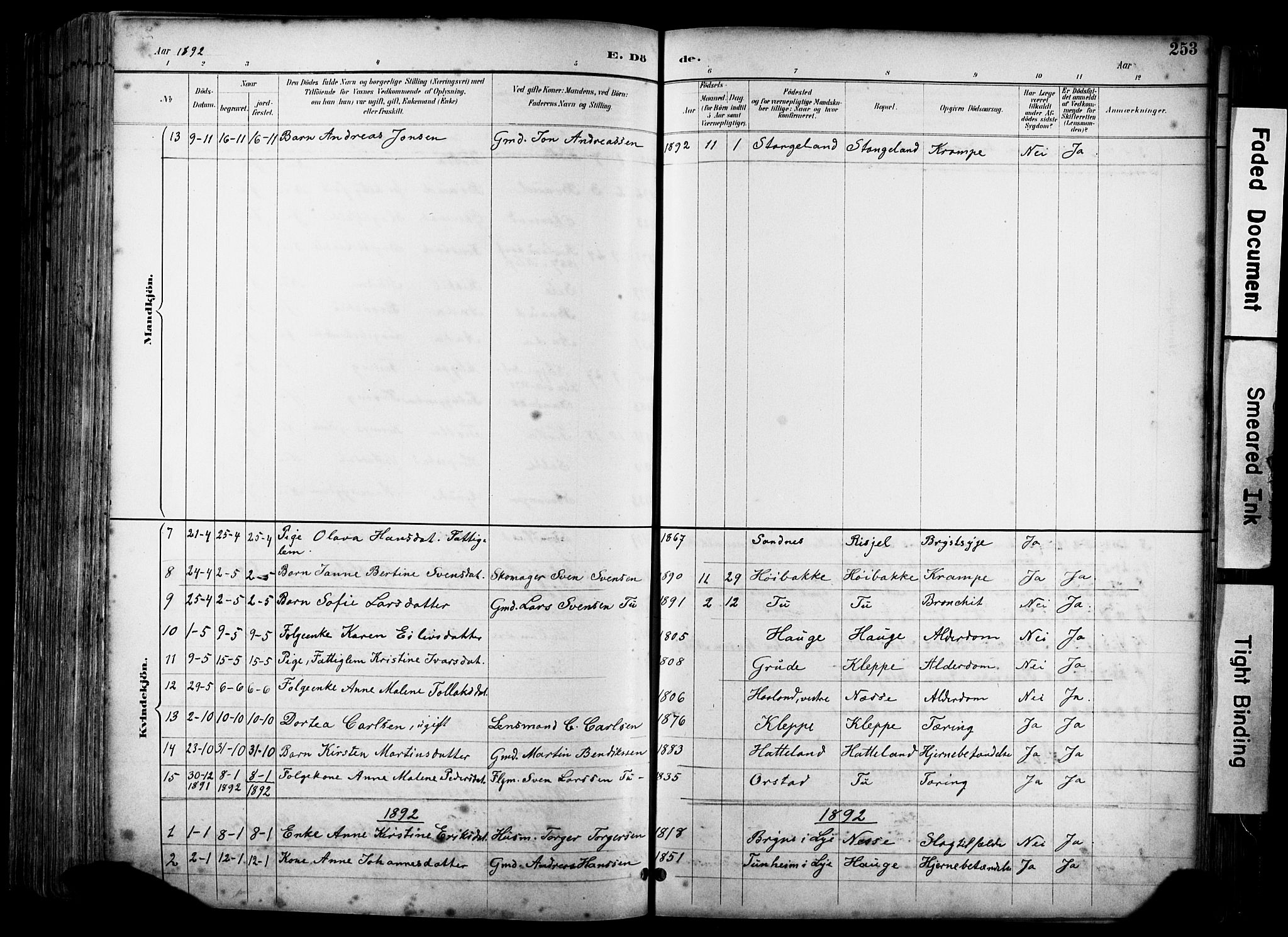 Klepp sokneprestkontor, SAST/A-101803/001/3/30BA/L0009: Parish register (official) no. A 7, 1886-1915, p. 253