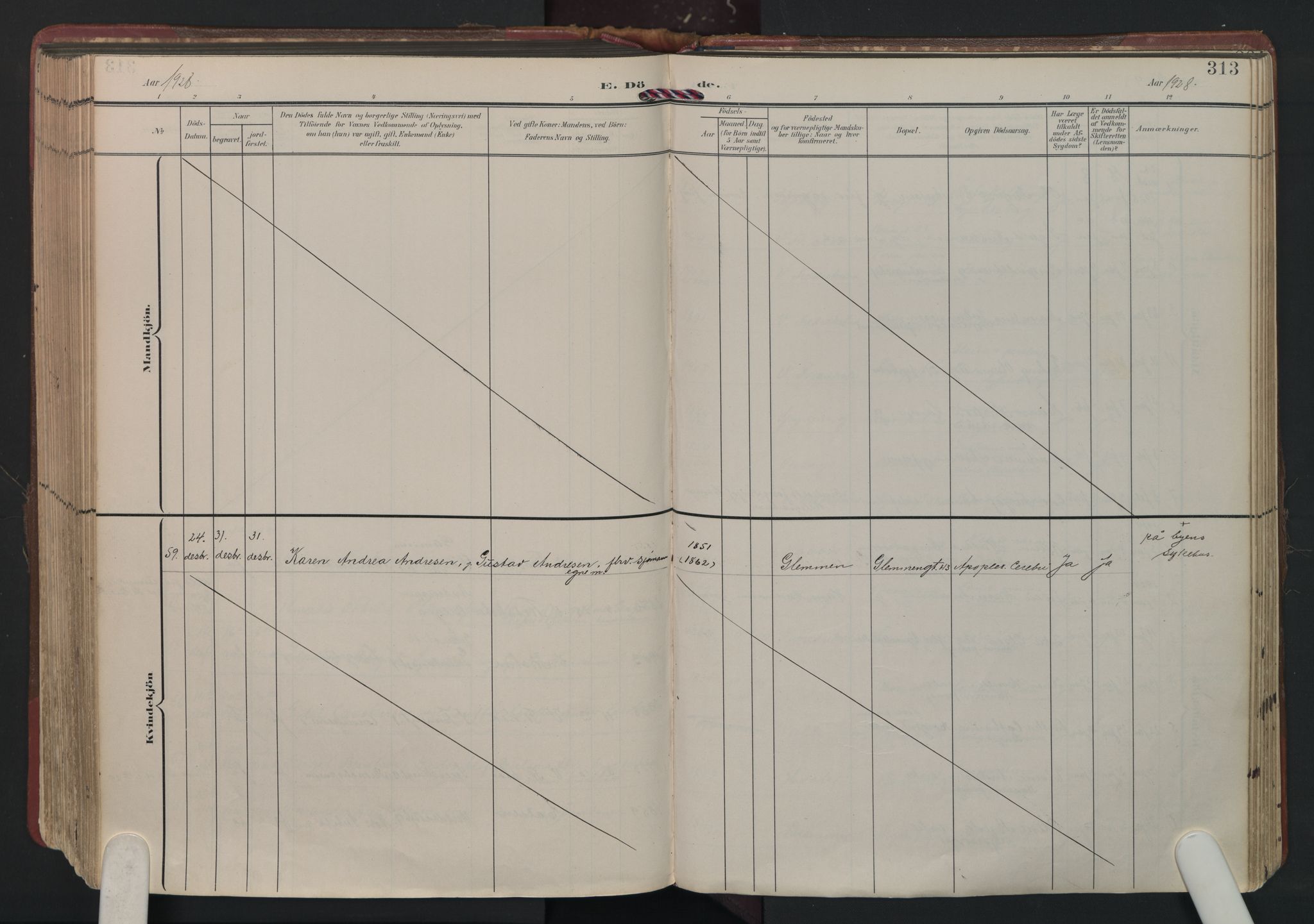 Fredrikstad domkirkes prestekontor Kirkebøker, AV/SAO-A-10906/F/Fa/L0008: Parish register (official) no. I 8, 1902-1936, p. 313