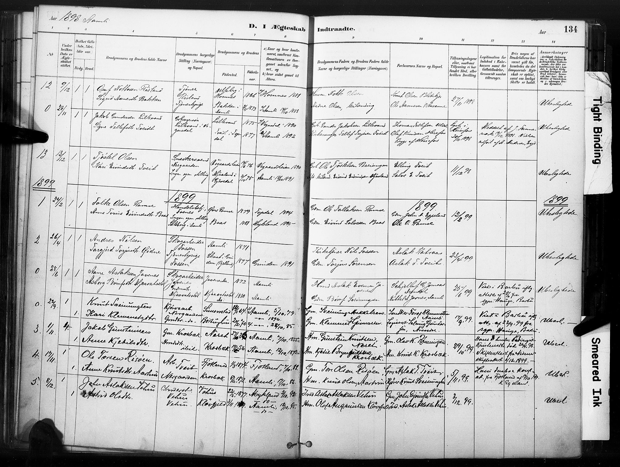 Åmli sokneprestkontor, SAK/1111-0050/F/Fa/Fac/L0010: Parish register (official) no. A 10 /1, 1885-1899, p. 134