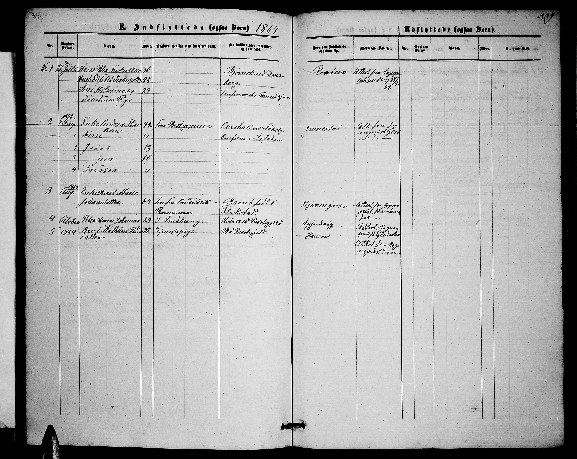 Ministerialprotokoller, klokkerbøker og fødselsregistre - Nordland, AV/SAT-A-1459/895/L1381: Parish register (copy) no. 895C03, 1864-1885, p. 339