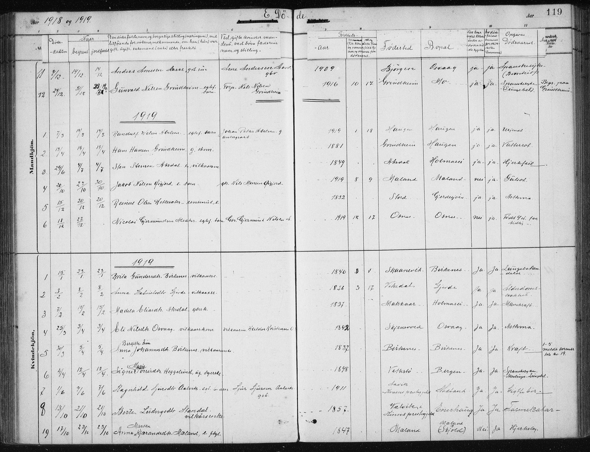 Etne sokneprestembete, AV/SAB-A-75001/H/Haa: Parish register (official) no. C  1, 1879-1919, p. 119