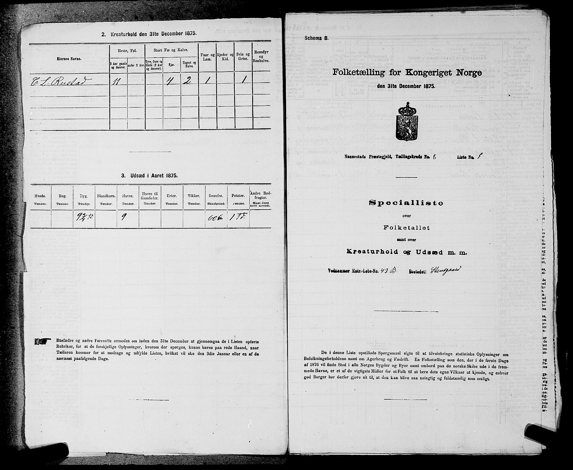 RA, 1875 census for 0238P Nannestad, 1875, p. 1252