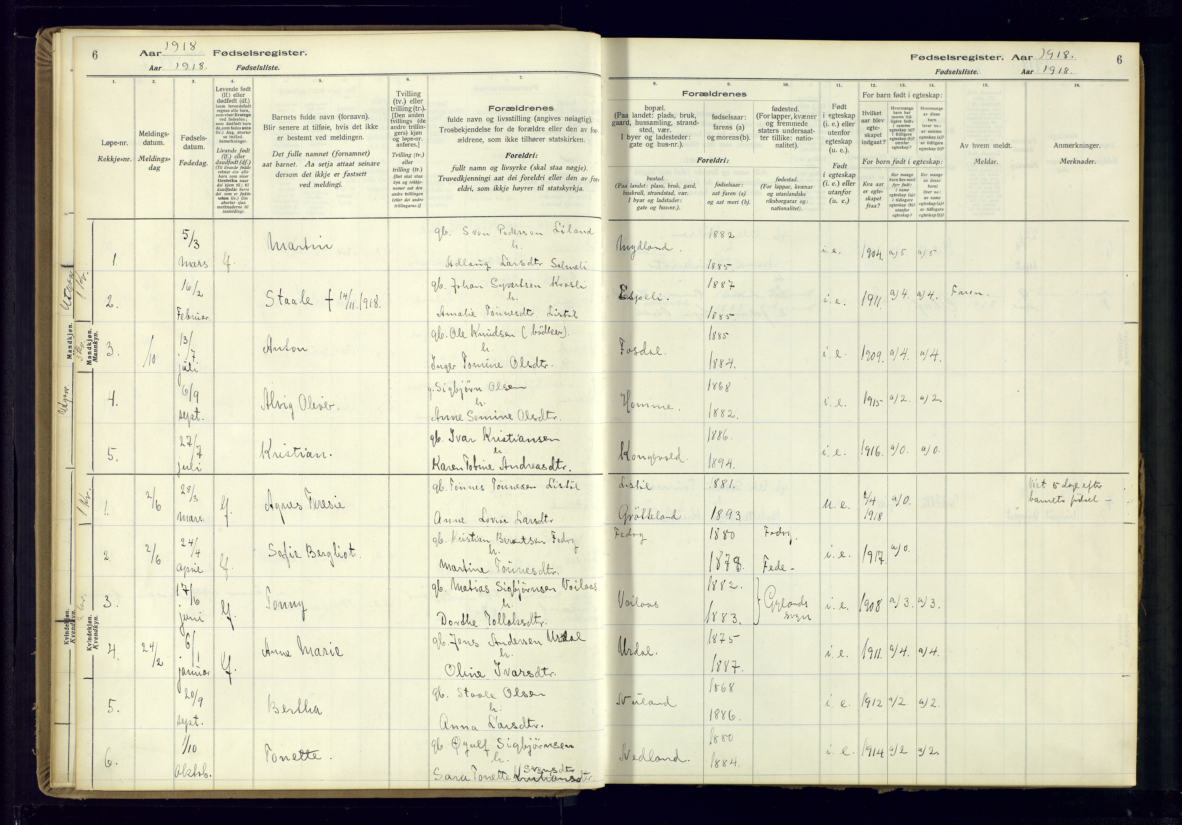 Bakke sokneprestkontor, AV/SAK-1111-0002/J/Ja/L0002: Birth register no. A-VI-19, 1916-1982, p. 6