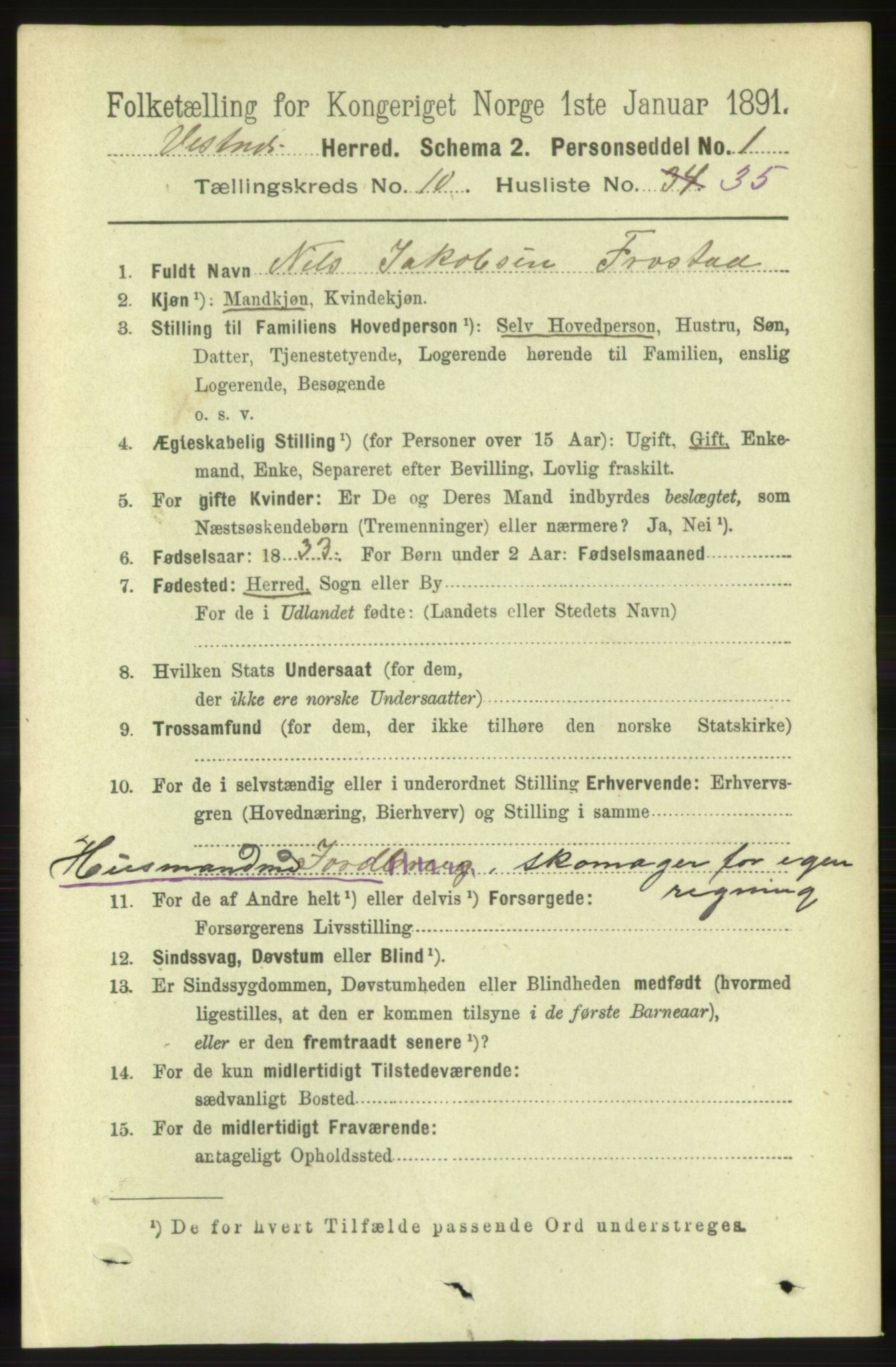 RA, 1891 census for 1535 Vestnes, 1891, p. 3851