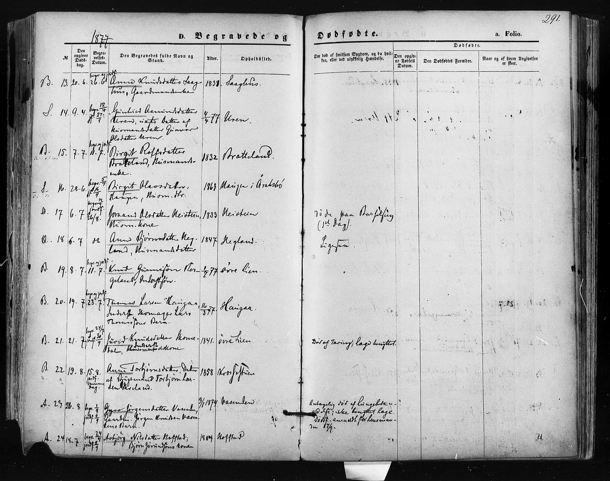 Bygland sokneprestkontor, AV/SAK-1111-0006/F/Fa/Fab/L0006: Parish register (official) no. A 6, 1873-1884, p. 291