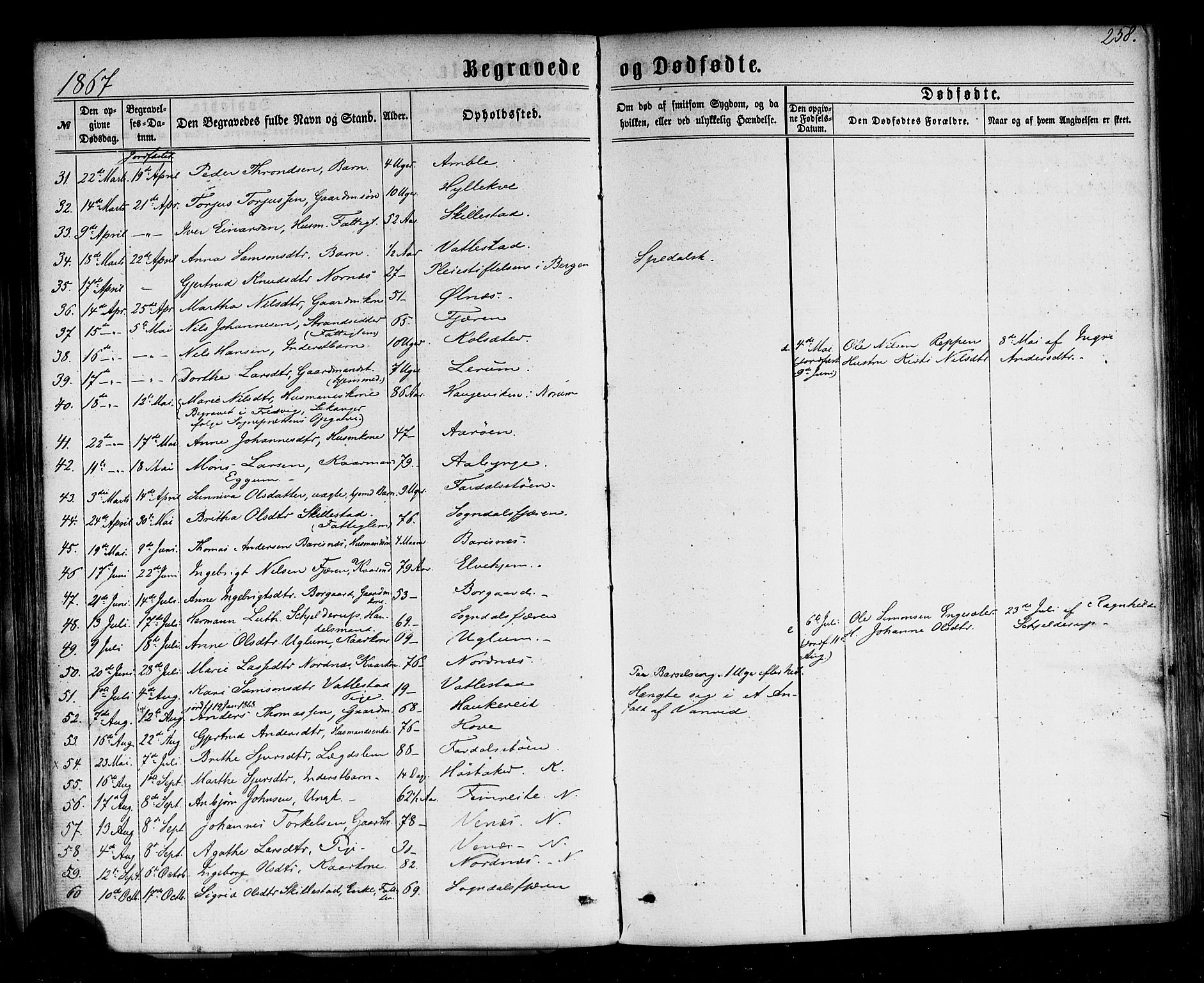 Sogndal sokneprestembete, SAB/A-81301/H/Haa/Haaa/L0013: Parish register (official) no. A 13, 1859-1877, p. 258