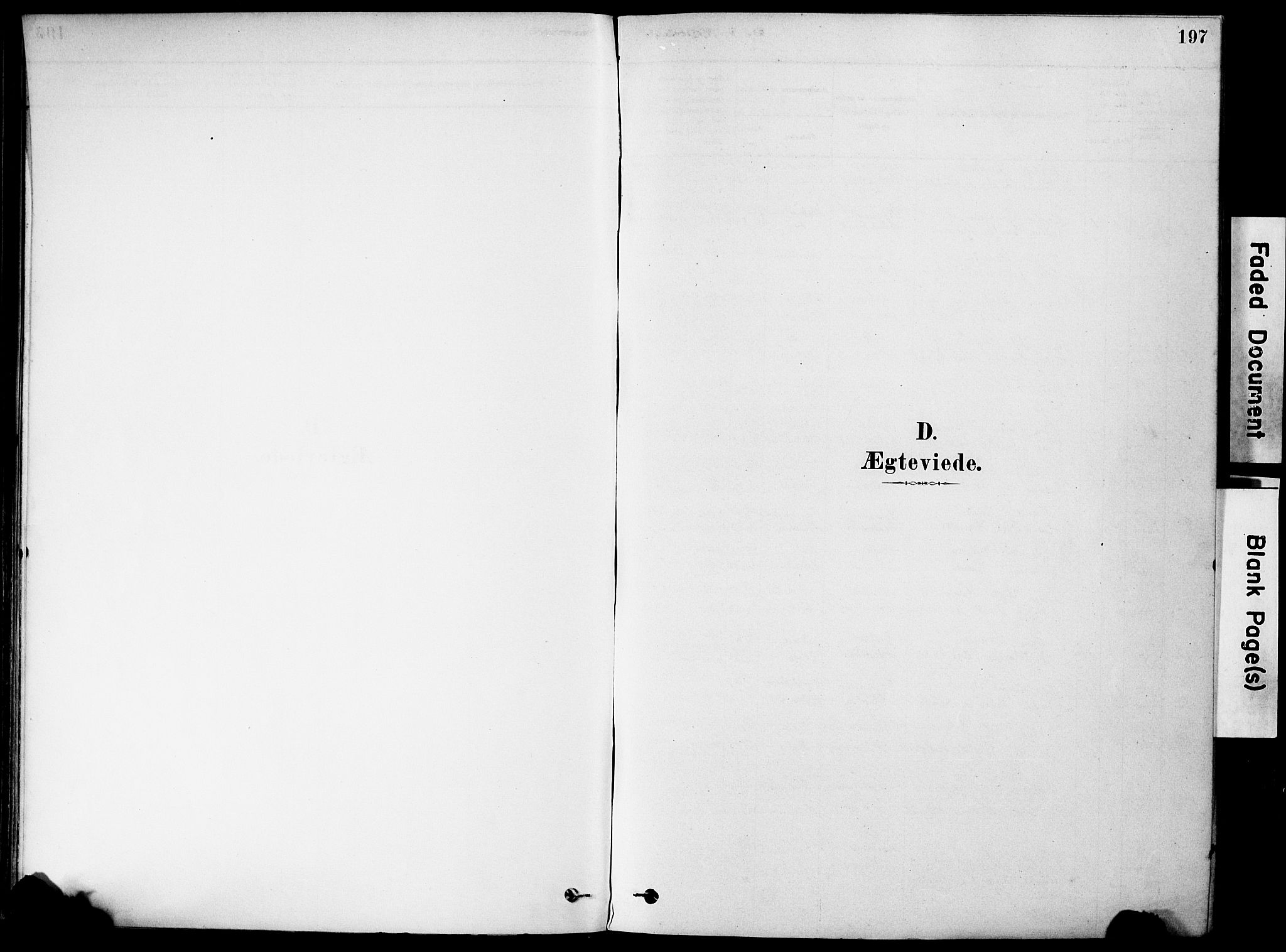 Holmestrand kirkebøker, SAKO/A-346/F/Fa/L0004: Parish register (official) no. 4, 1880-1901, p. 197