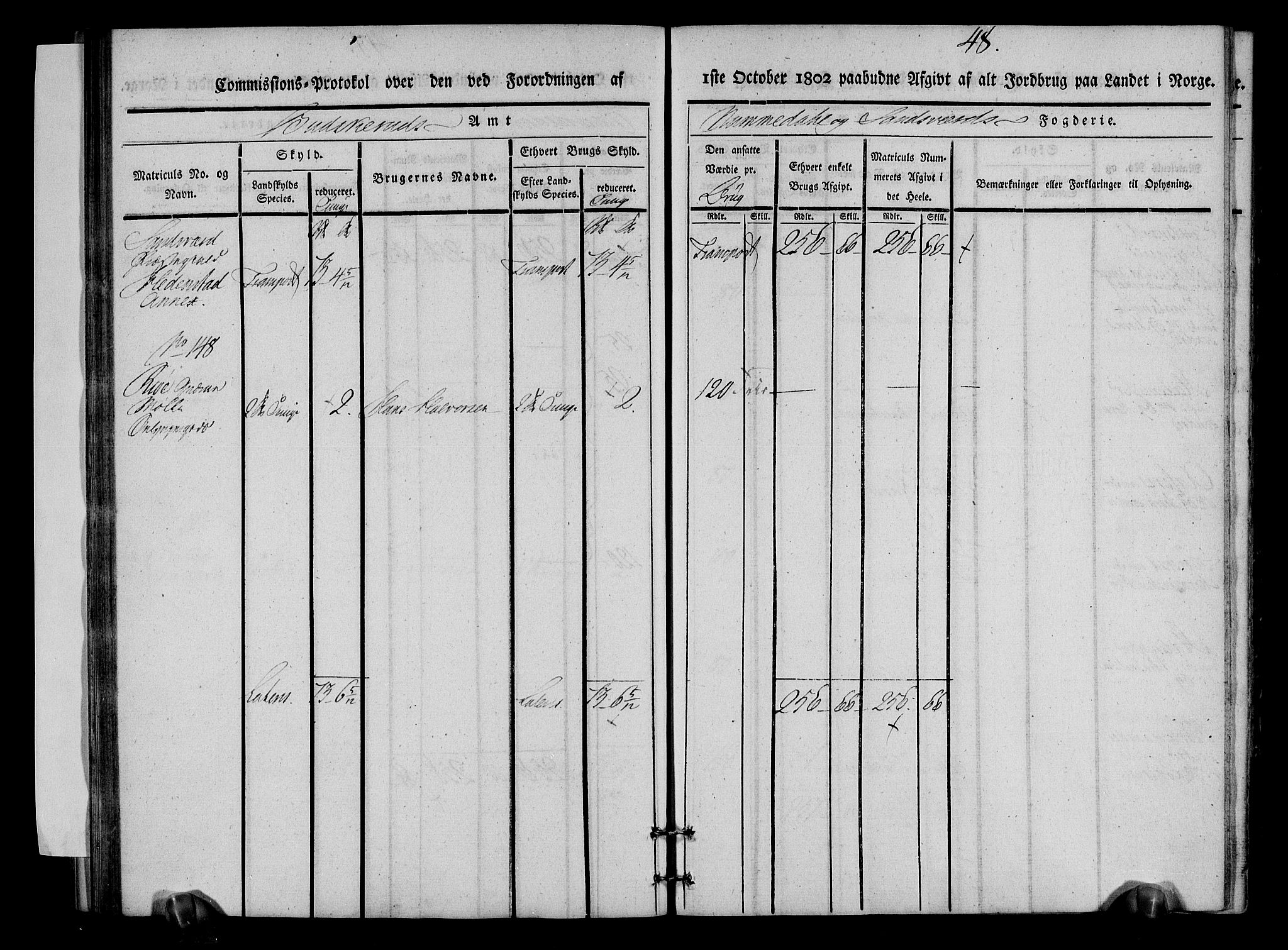 Rentekammeret inntil 1814, Realistisk ordnet avdeling, AV/RA-EA-4070/N/Ne/Nea/L0053: Numedal og Sandsvær fogderi. Kommisjonsprotokoll over matrikulerte jordbruk i Hedenstad anneks, 1803, p. 49