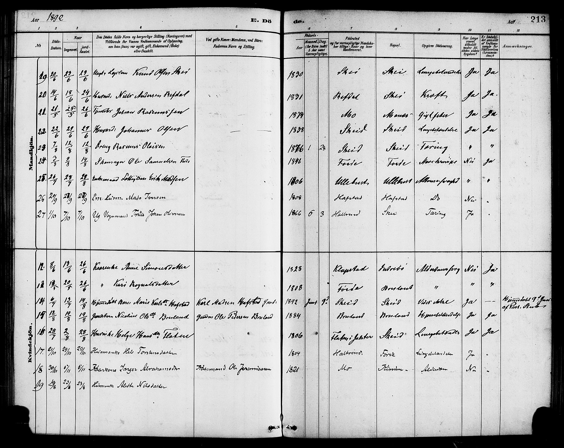 Førde sokneprestembete, AV/SAB-A-79901/H/Haa/Haab/L0001: Parish register (official) no. B 1, 1880-1898, p. 213