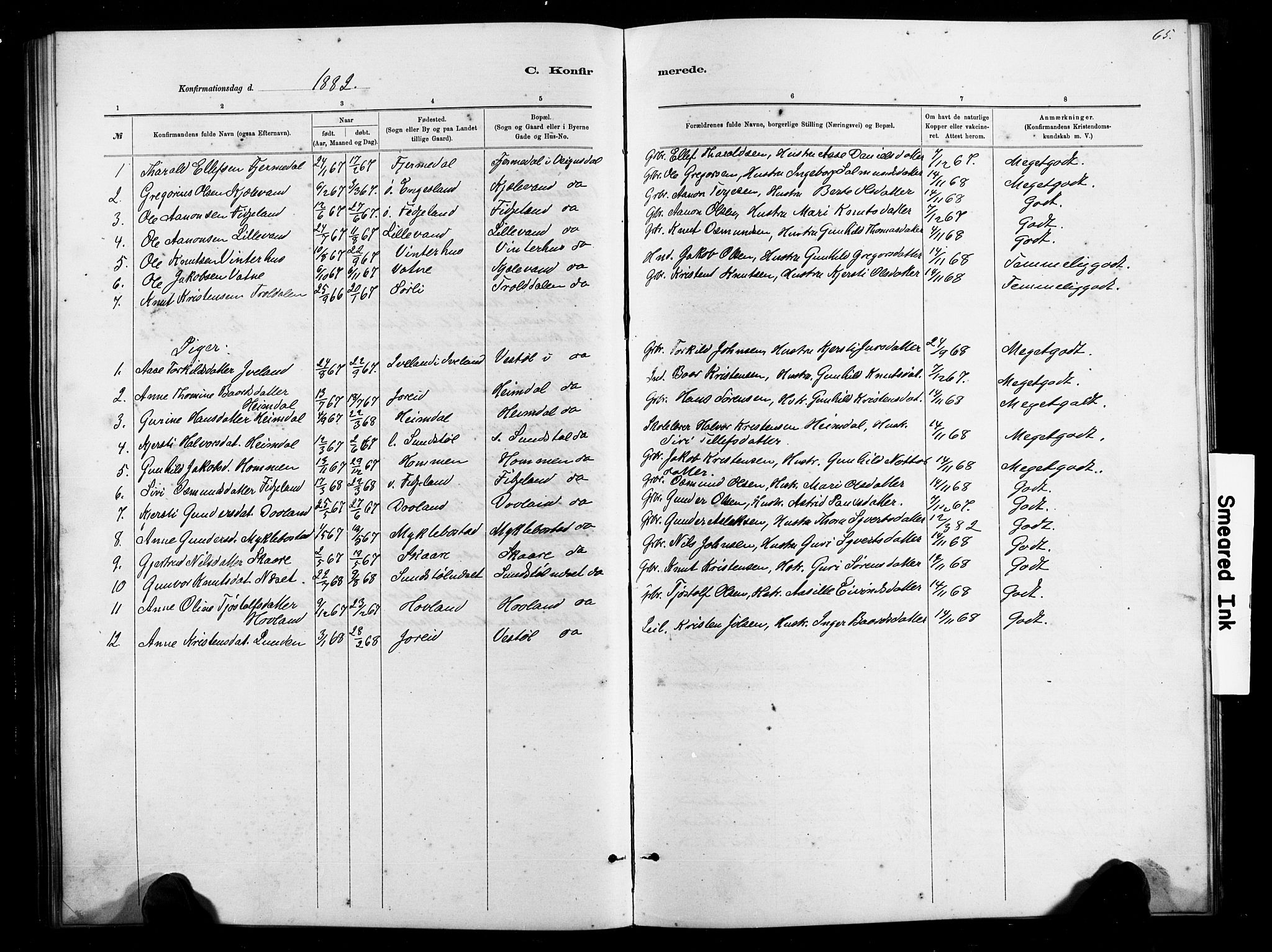Herefoss sokneprestkontor, SAK/1111-0019/F/Fb/Fbb/L0002: Parish register (copy) no. B 2, 1879-1894, p. 65