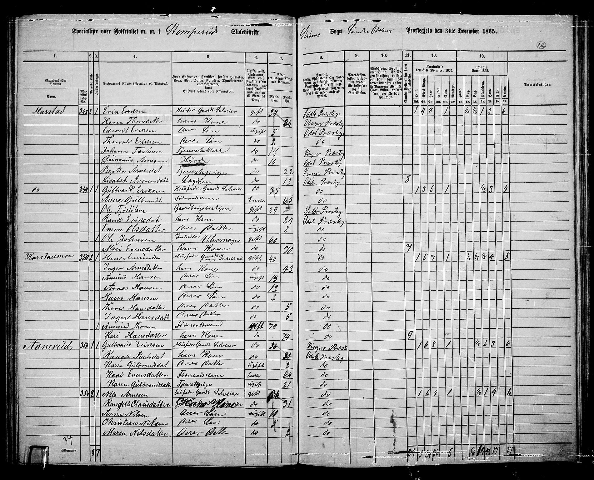 RA, 1865 census for Sør-Odal, 1865, p. 191