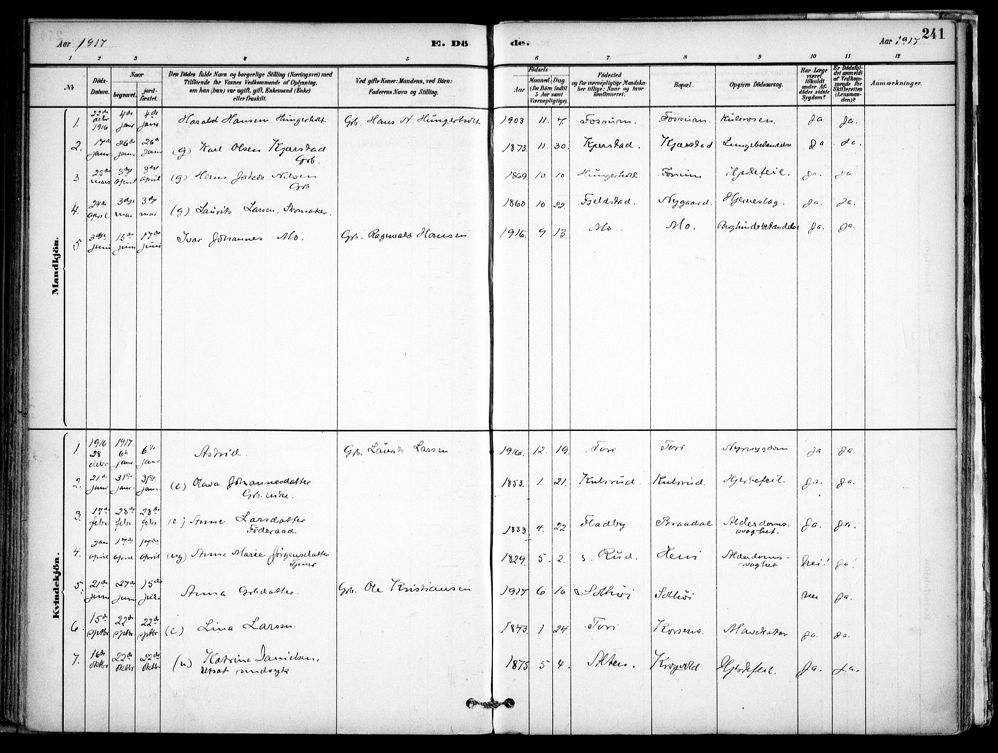 Gjerdrum prestekontor Kirkebøker, AV/SAO-A-10412b/F/Fb/L0001: Parish register (official) no. II 1, 1881-1921, p. 241