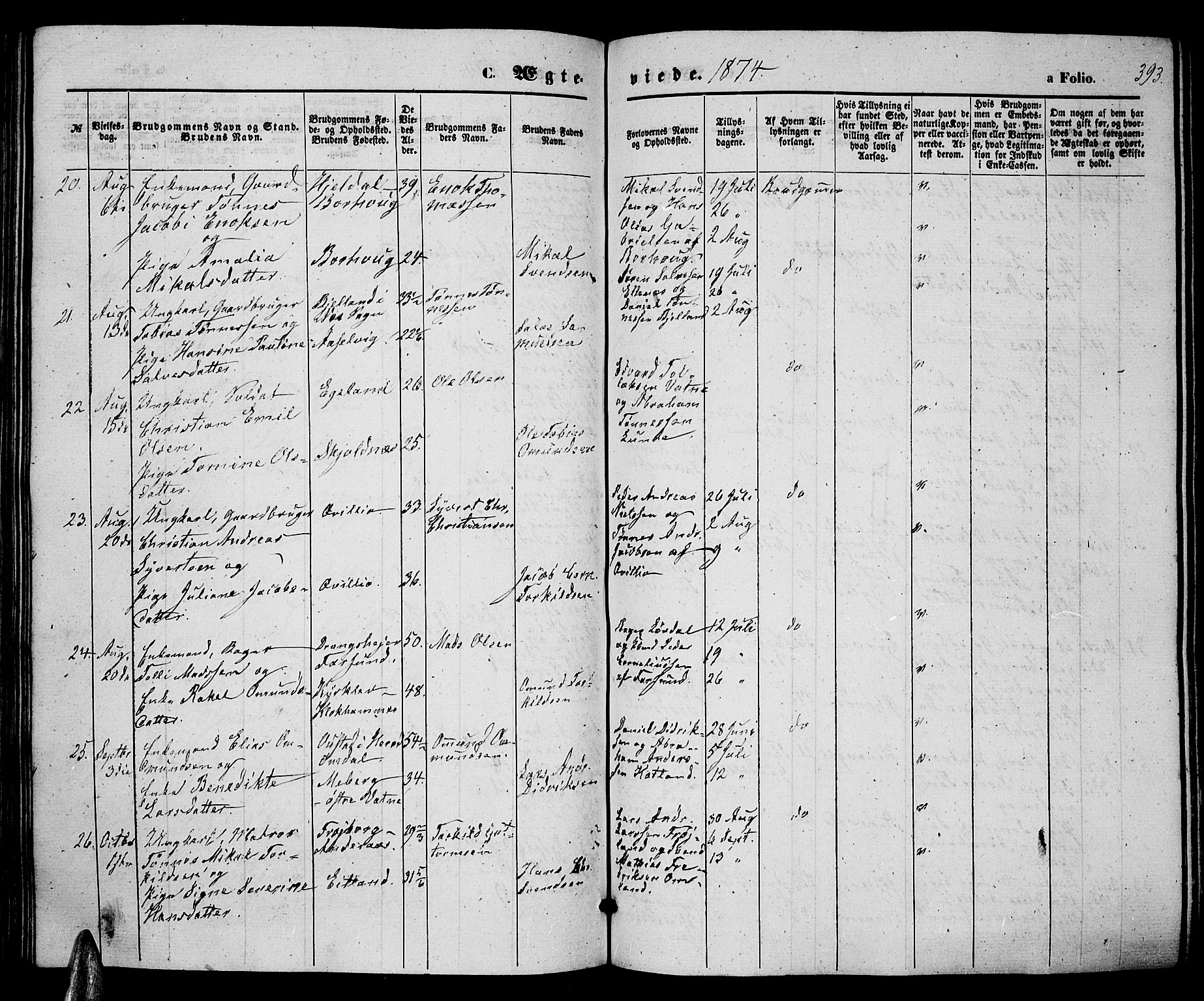 Lista sokneprestkontor, AV/SAK-1111-0027/F/Fb/L0003: Parish register (copy) no. B 3, 1862-1877, p. 393