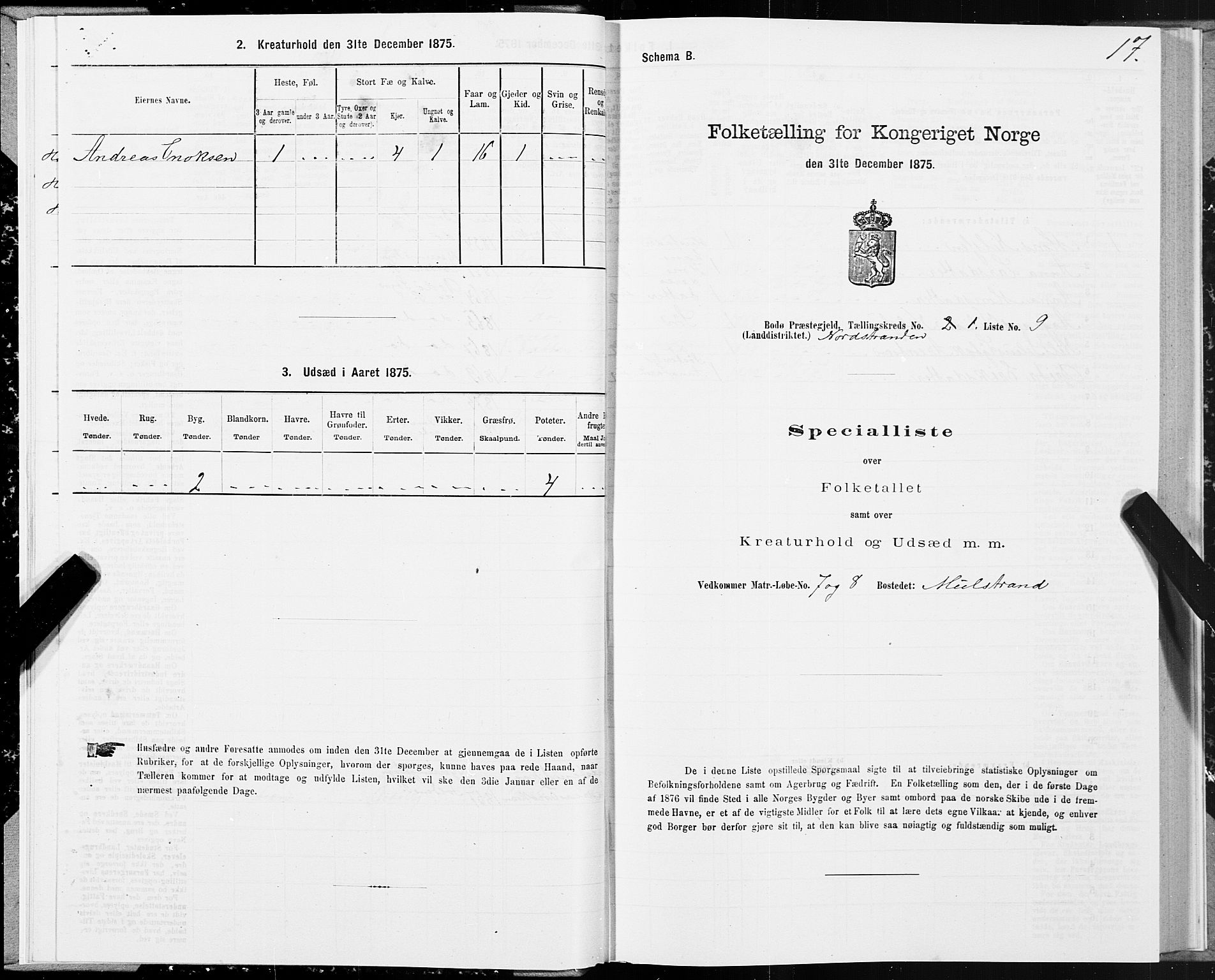 SAT, 1875 census for 1843L Bodø/Bodø, 1875, p. 1017