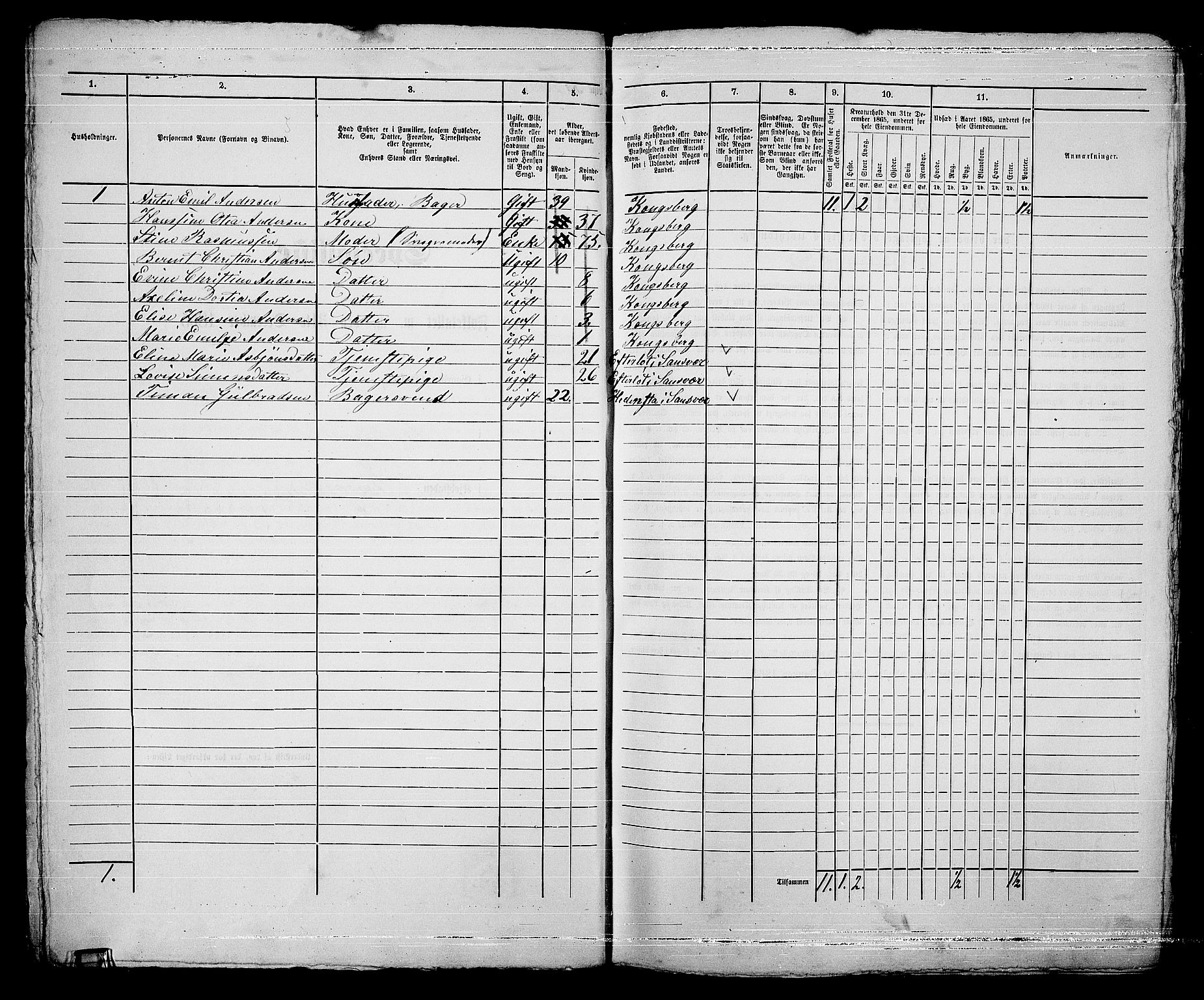 RA, 1865 census for Kongsberg/Kongsberg, 1865, p. 557