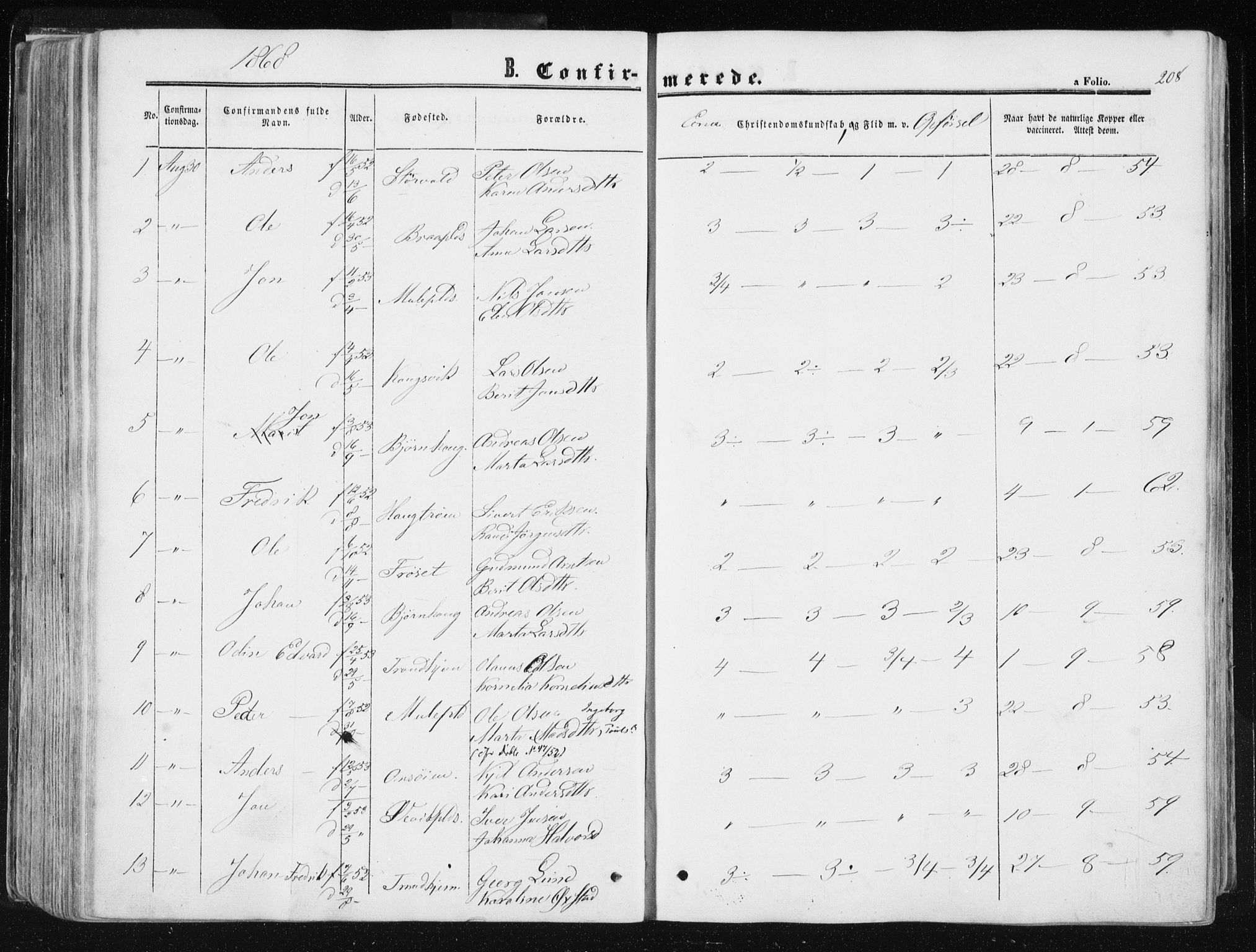 Ministerialprotokoller, klokkerbøker og fødselsregistre - Sør-Trøndelag, SAT/A-1456/612/L0377: Parish register (official) no. 612A09, 1859-1877, p. 208
