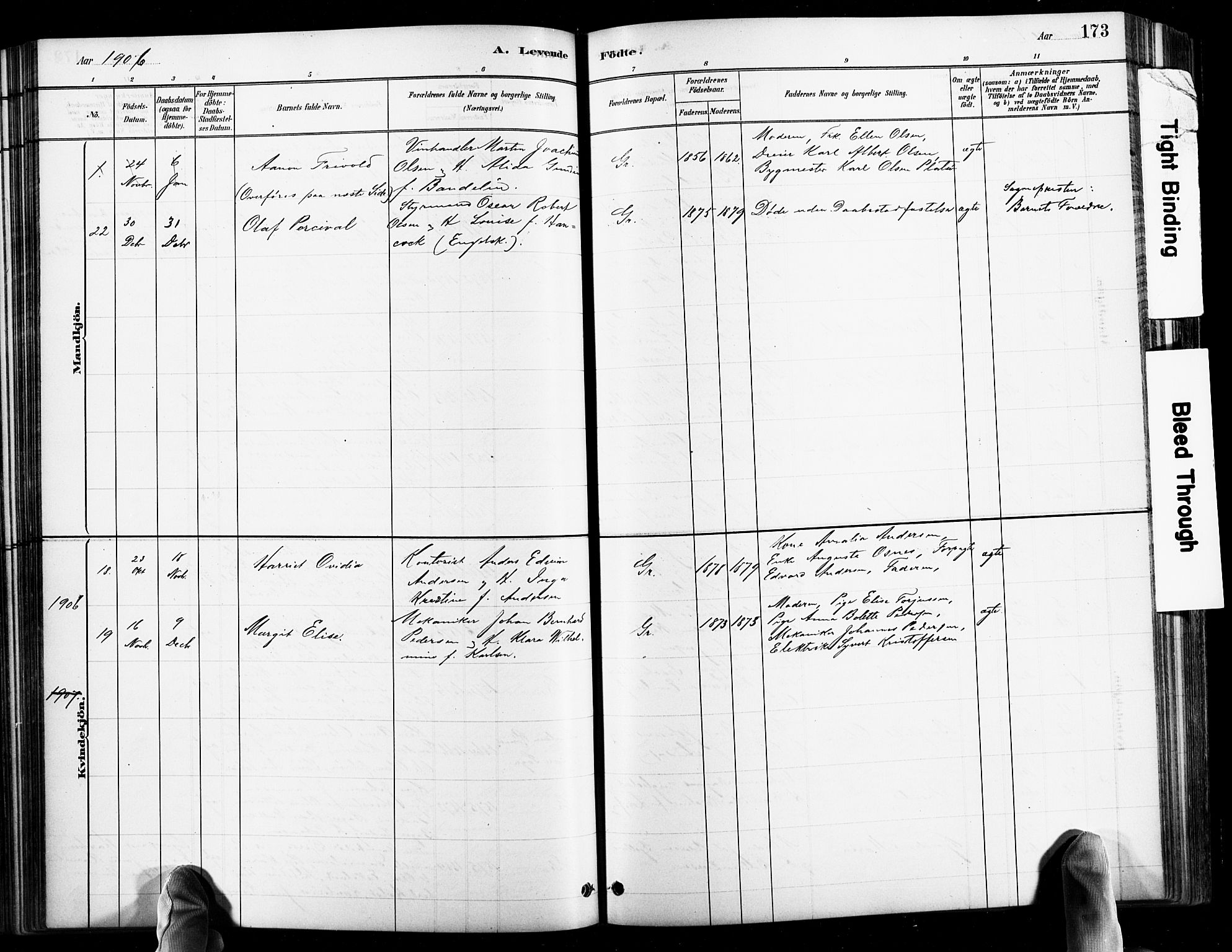 Grimstad sokneprestkontor, AV/SAK-1111-0017/F/Fb/L0001: Parish register (copy) no. B 1, 1881-1922, p. 173