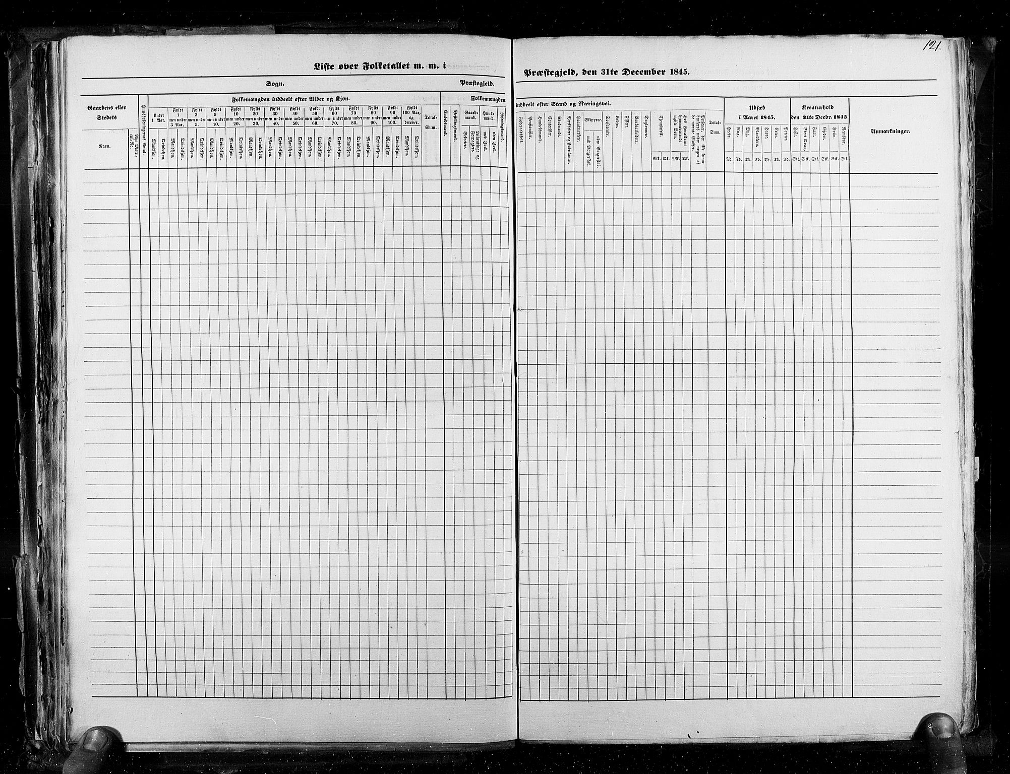 RA, Census 1845, vol. 3: Hedemarken amt og Kristians amt, 1845, p. 121