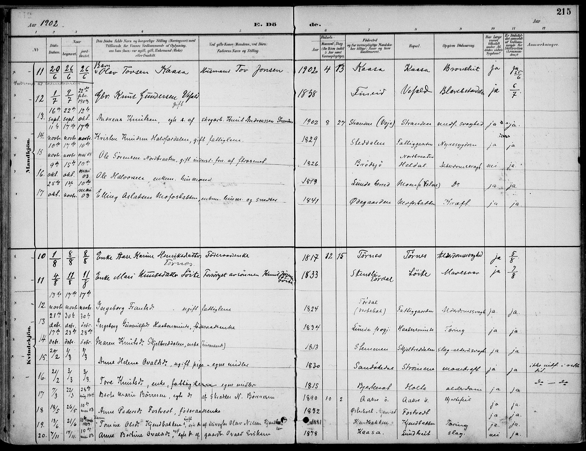 Drangedal kirkebøker, AV/SAKO-A-258/F/Fa/L0012: Parish register (official) no. 12, 1895-1905, p. 215