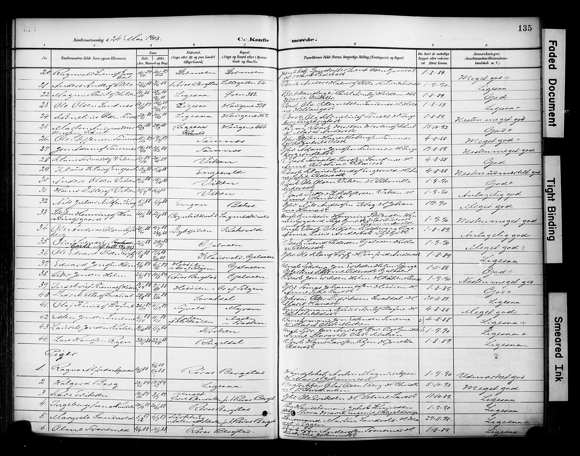 Ministerialprotokoller, klokkerbøker og fødselsregistre - Sør-Trøndelag, AV/SAT-A-1456/681/L0936: Parish register (official) no. 681A14, 1899-1908, p. 135