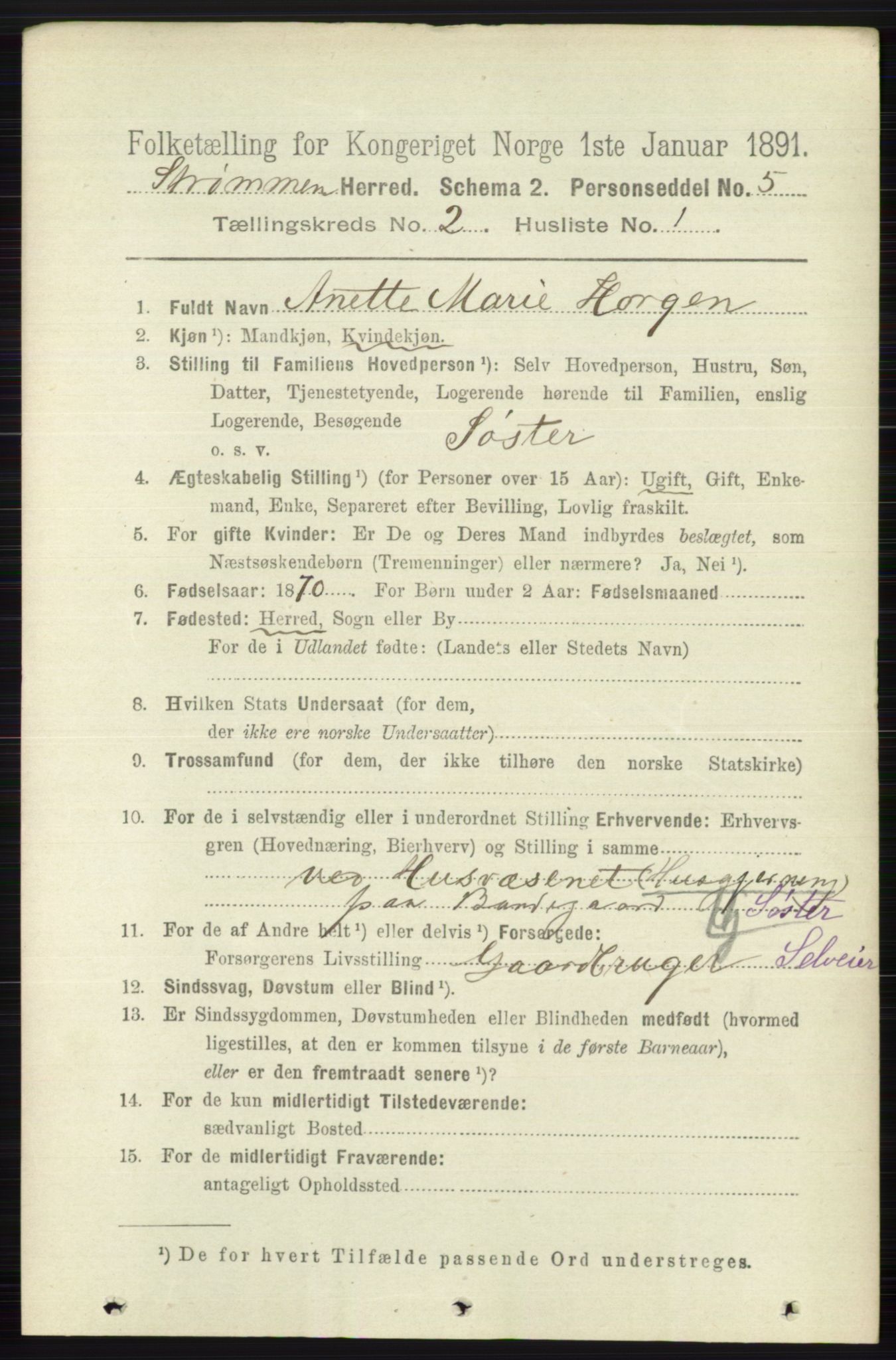 RA, 1891 census for 0711 Strømm, 1891, p. 700