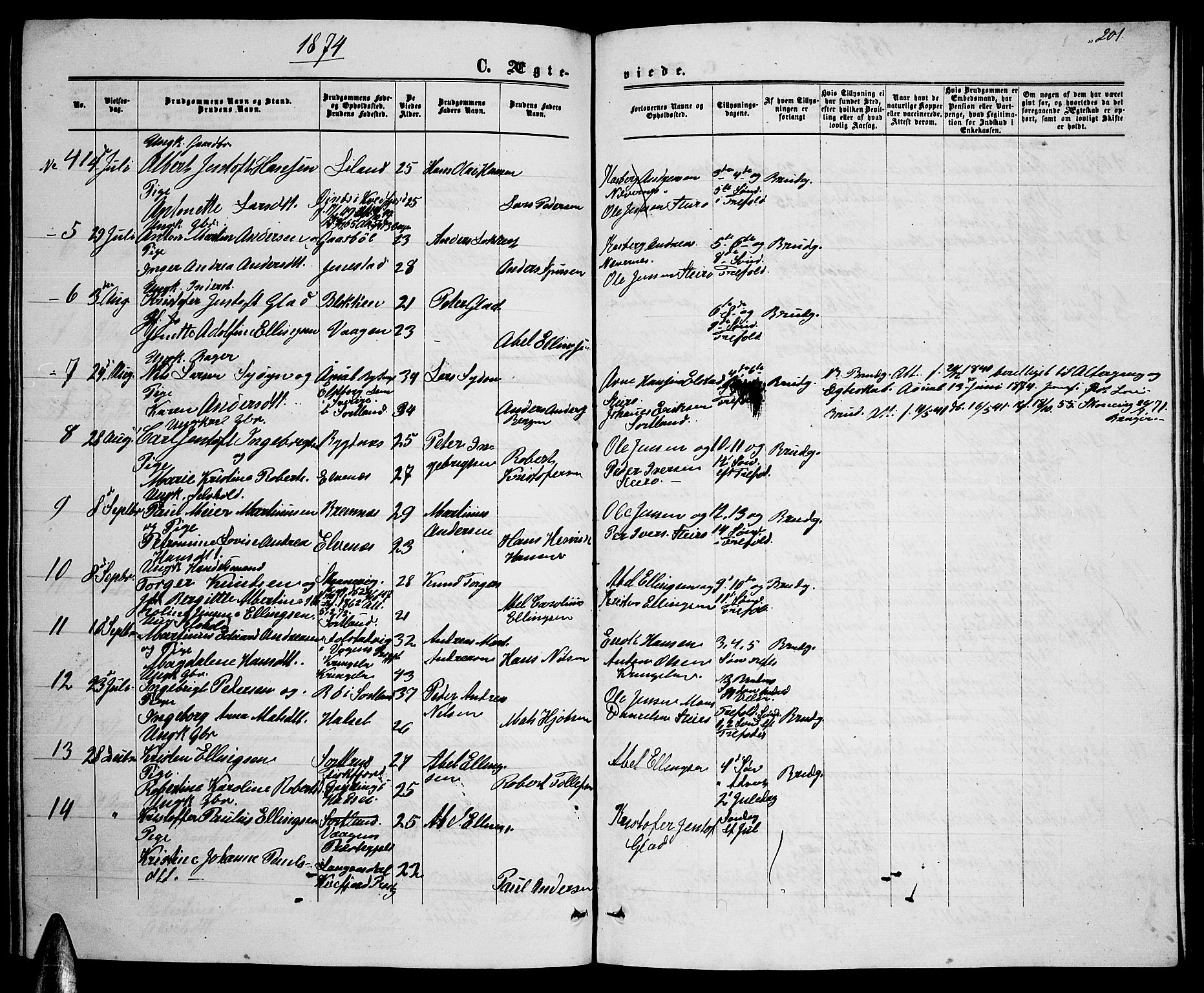 Ministerialprotokoller, klokkerbøker og fødselsregistre - Nordland, AV/SAT-A-1459/895/L1381: Parish register (copy) no. 895C03, 1864-1885, p. 201