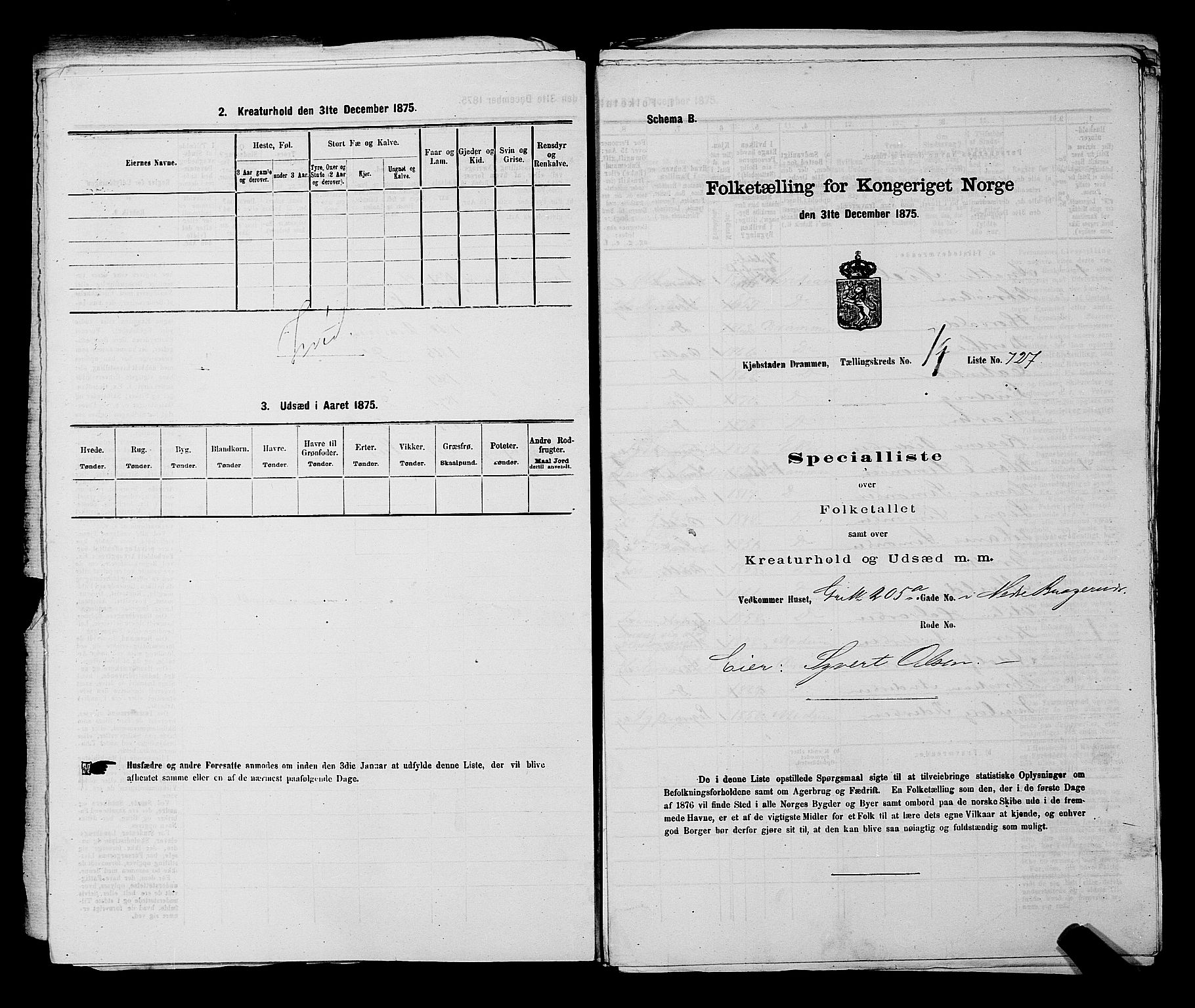 SAKO, 1875 census for 0602 Drammen, 1875, p. 2026