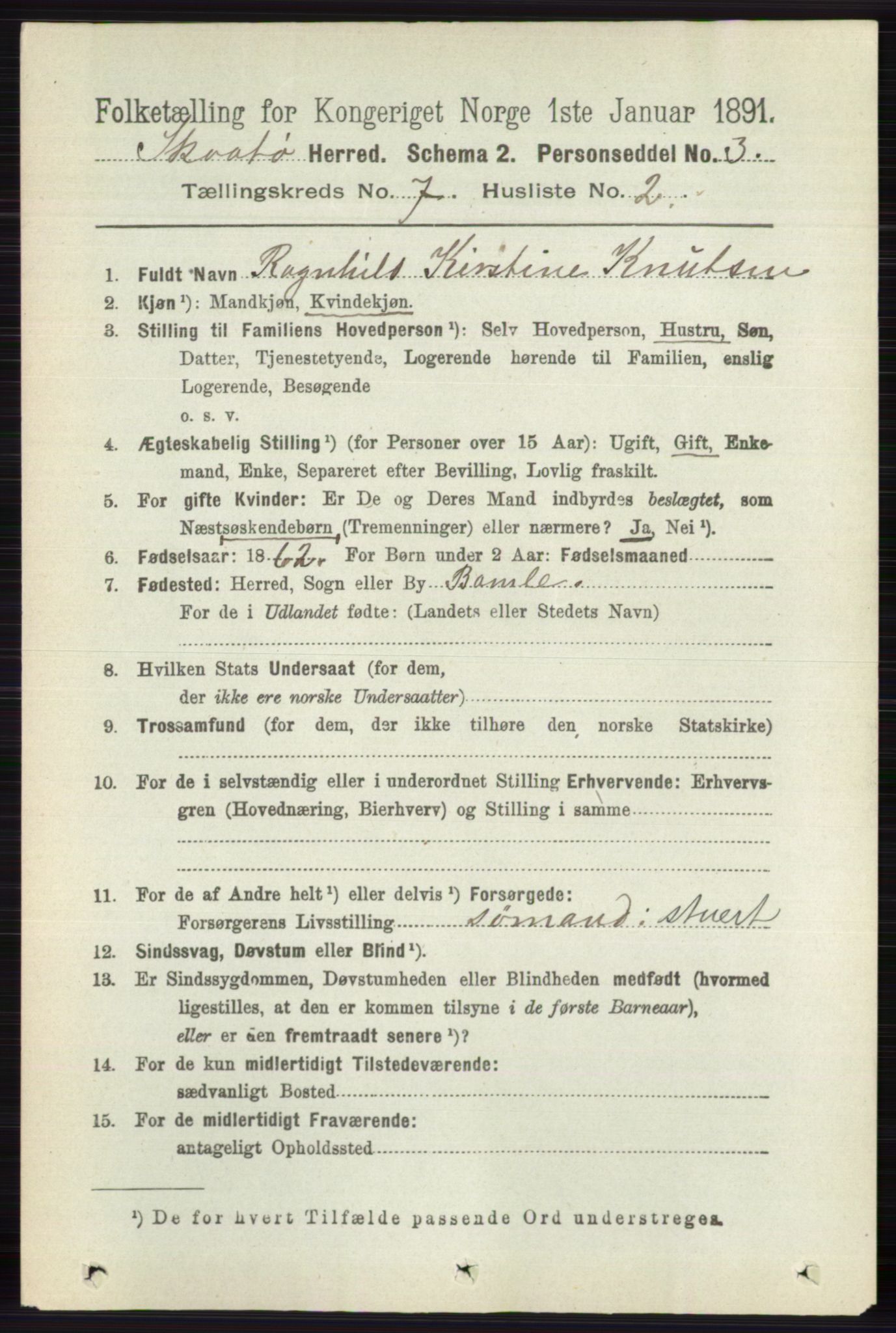 RA, 1891 census for 0815 Skåtøy, 1891, p. 3083