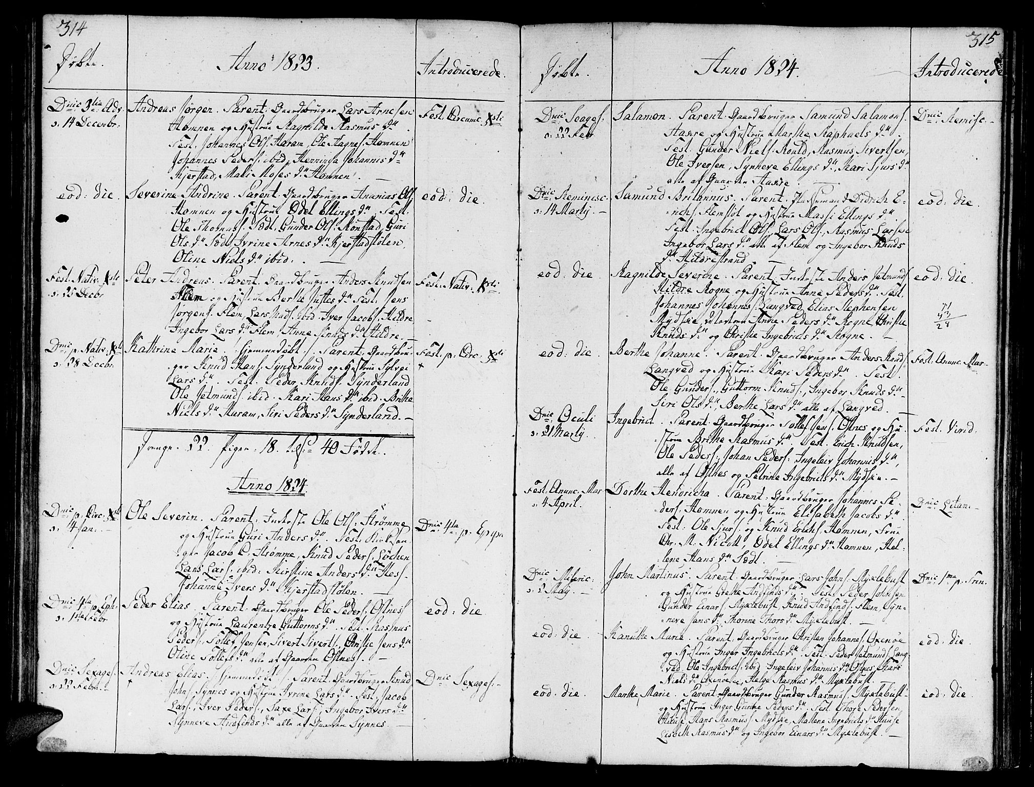 Ministerialprotokoller, klokkerbøker og fødselsregistre - Møre og Romsdal, SAT/A-1454/536/L0494: Parish register (official) no. 536A03, 1803-1836, p. 314-315