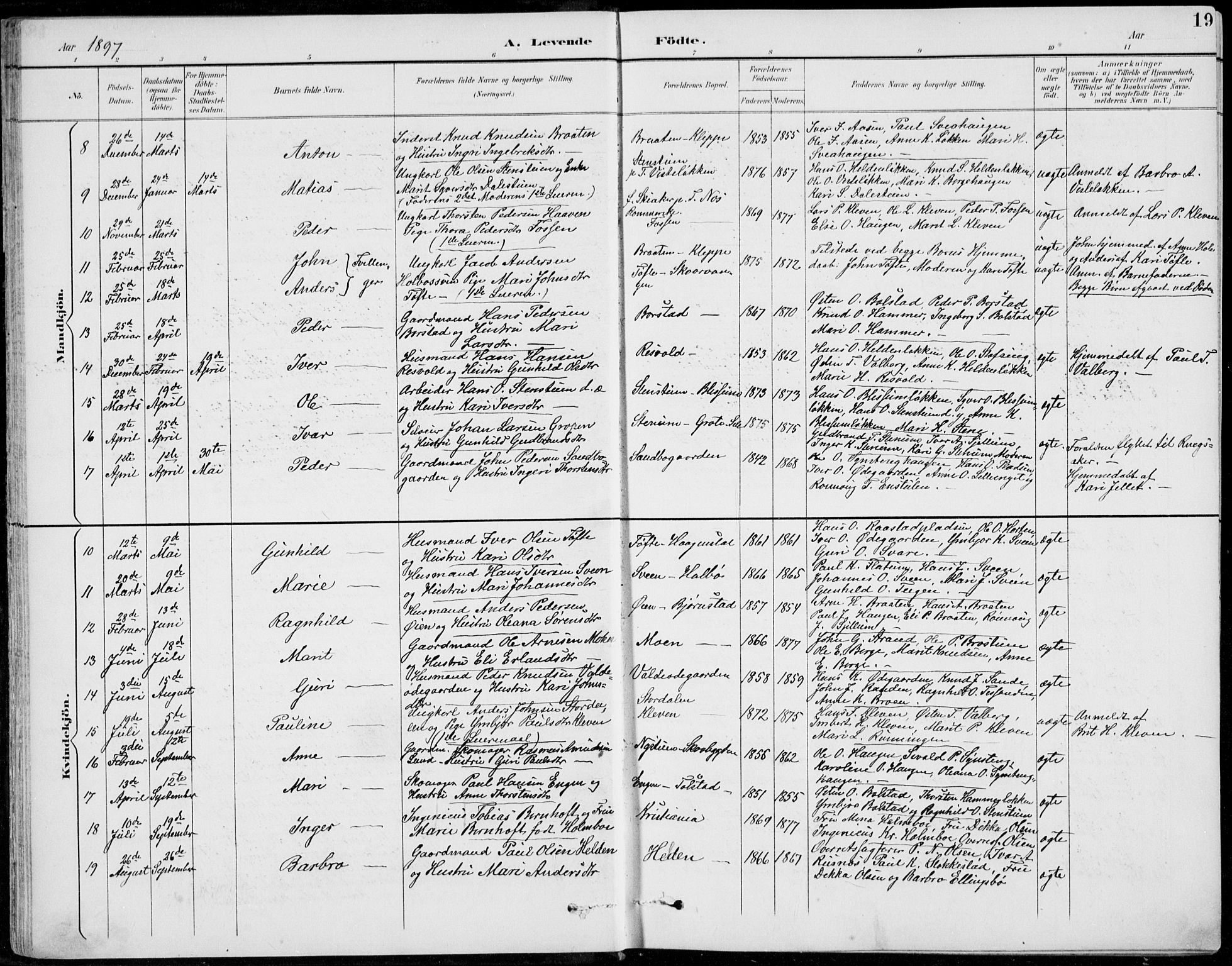 Vågå prestekontor, AV/SAH-PREST-076/H/Ha/Hab/L0002: Parish register (copy) no. 2, 1894-1939, p. 19