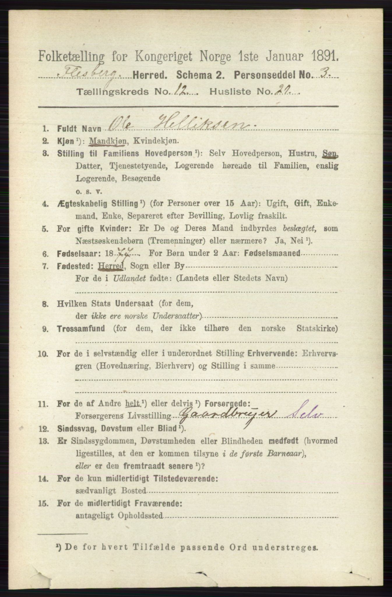 RA, 1891 census for 0631 Flesberg, 1891, p. 2181