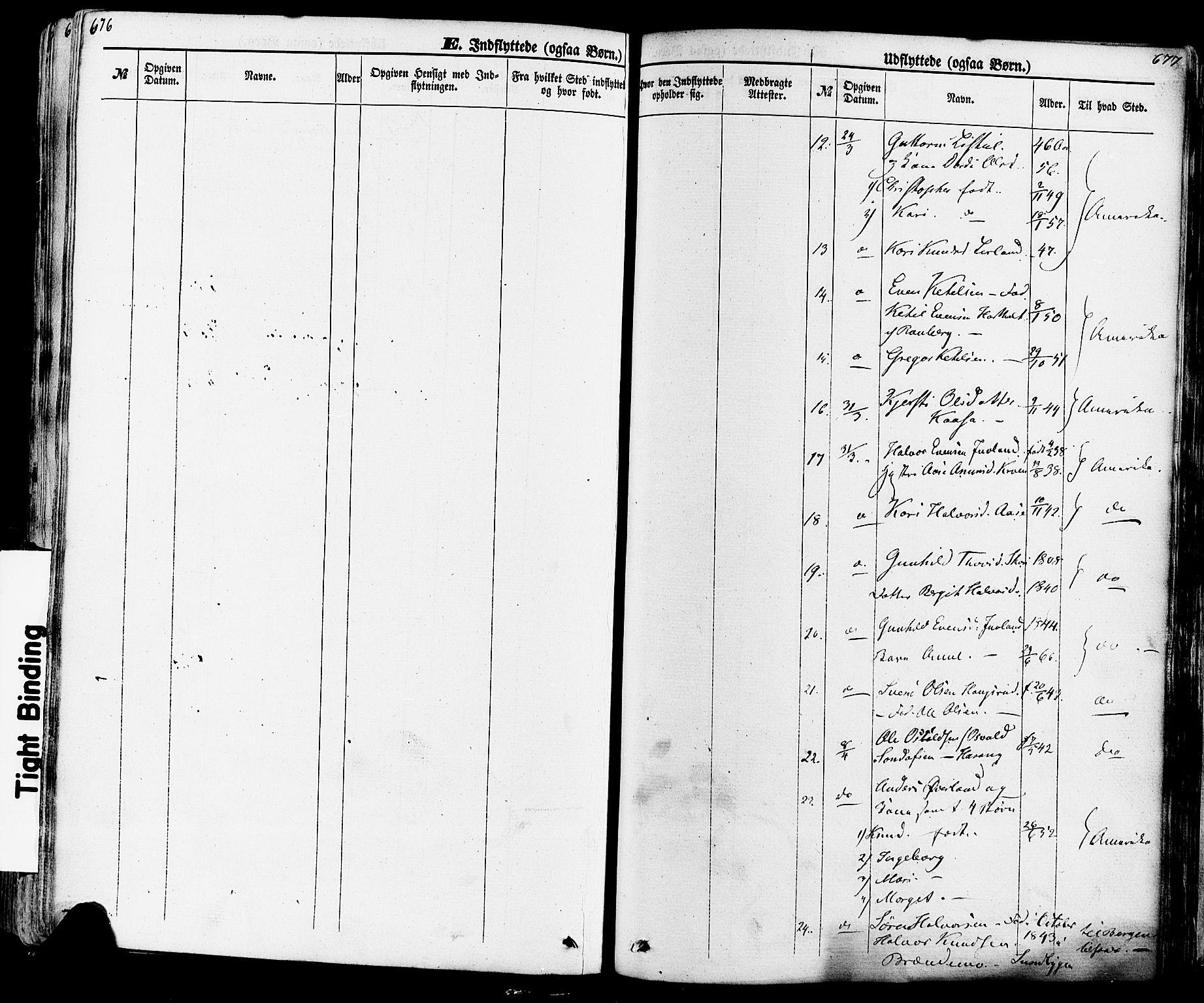 Seljord kirkebøker, SAKO/A-20/F/Fa/L0013: Parish register (official) no. I 13, 1866-1876, p. 676-677