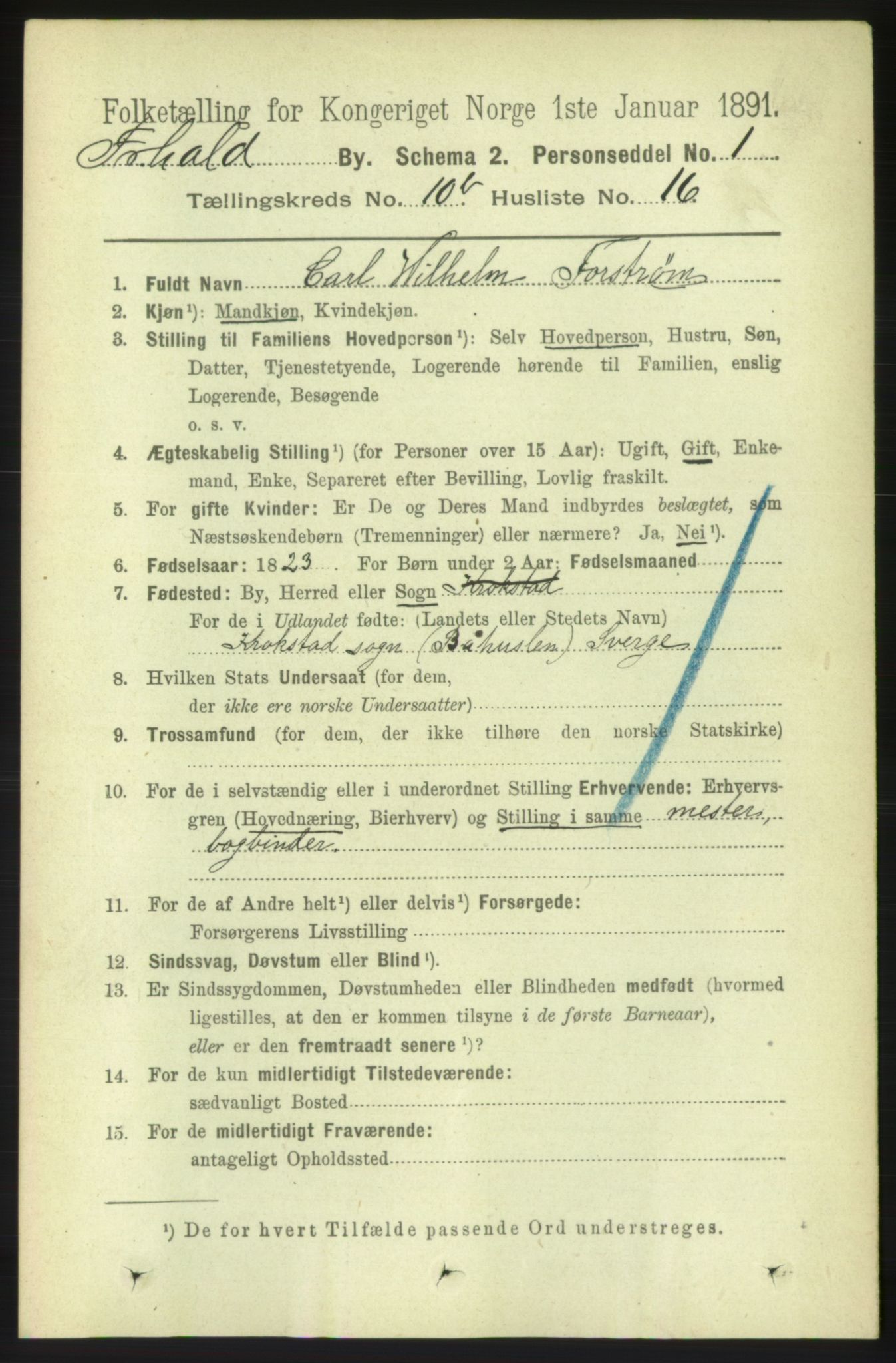 RA, 1891 census for 0101 Fredrikshald, 1891, p. 7529