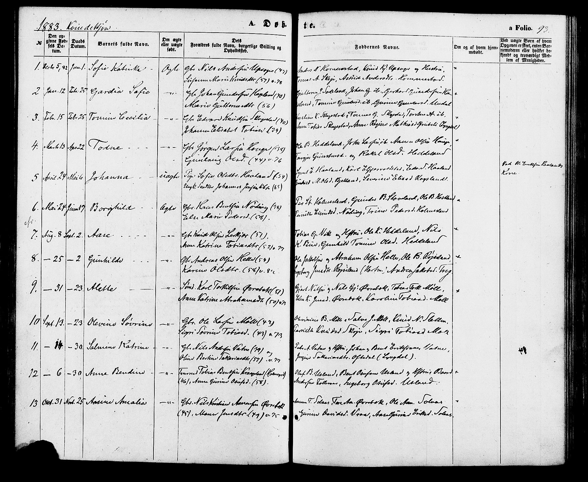 Holum sokneprestkontor, SAK/1111-0022/F/Fa/Faa/L0006: Parish register (official) no. A 6, 1865-1883, p. 93