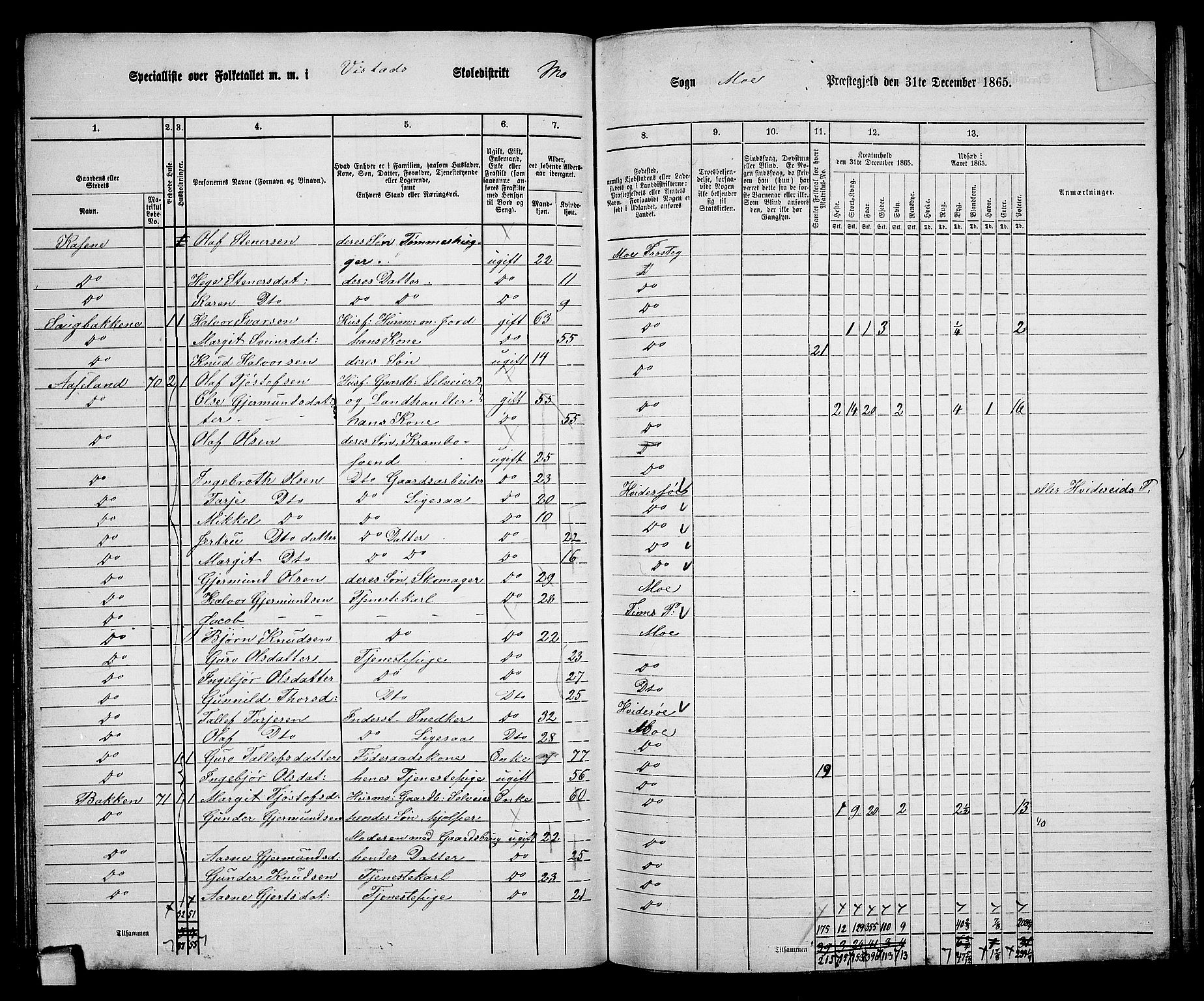 RA, 1865 census for Mo, 1865, p. 55