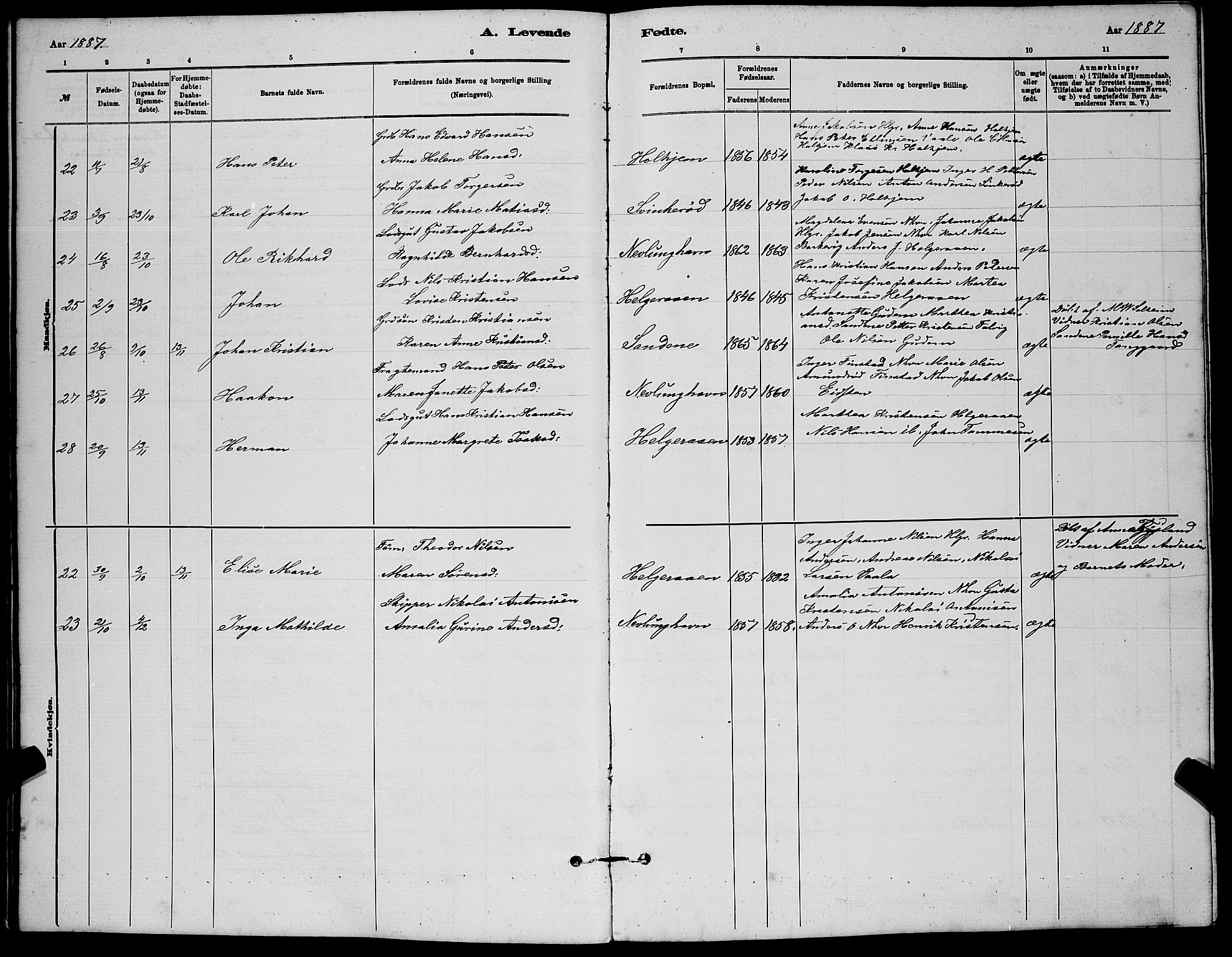 Brunlanes kirkebøker, AV/SAKO-A-342/G/Gb/L0002: Parish register (copy) no. II 2, 1878-1902