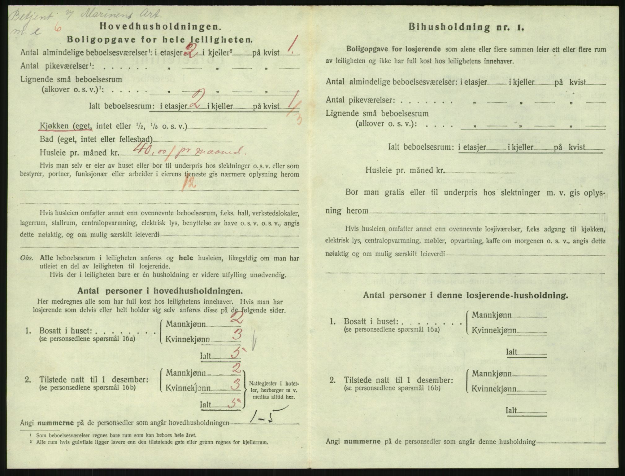 SAKO, 1920 census for Horten, 1920, p. 6250