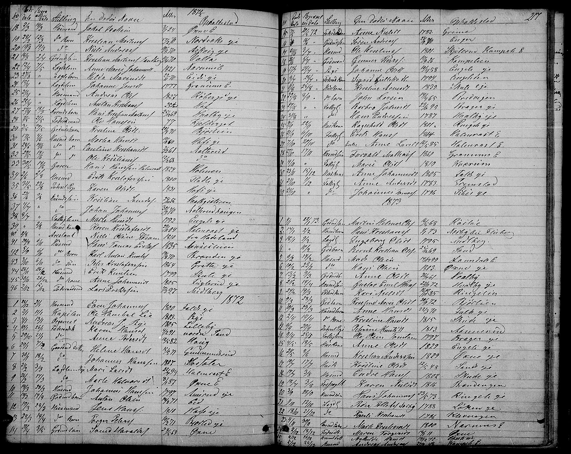 Søndre Land prestekontor, SAH/PREST-122/L/L0001: Parish register (copy) no. 1, 1849-1883, p. 217