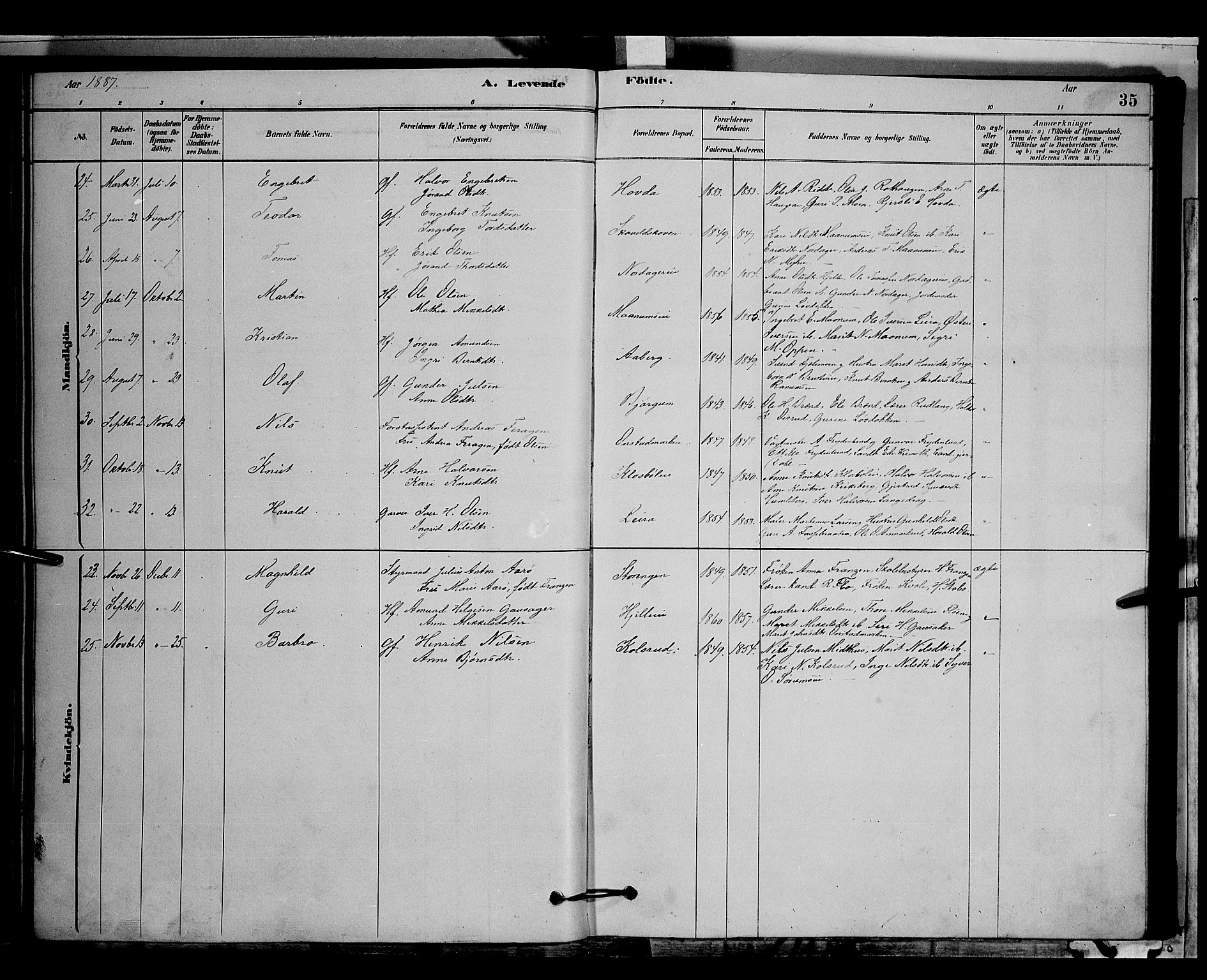 Nord-Aurdal prestekontor, SAH/PREST-132/H/Ha/Hab/L0006: Parish register (copy) no. 6, 1878-1892, p. 35