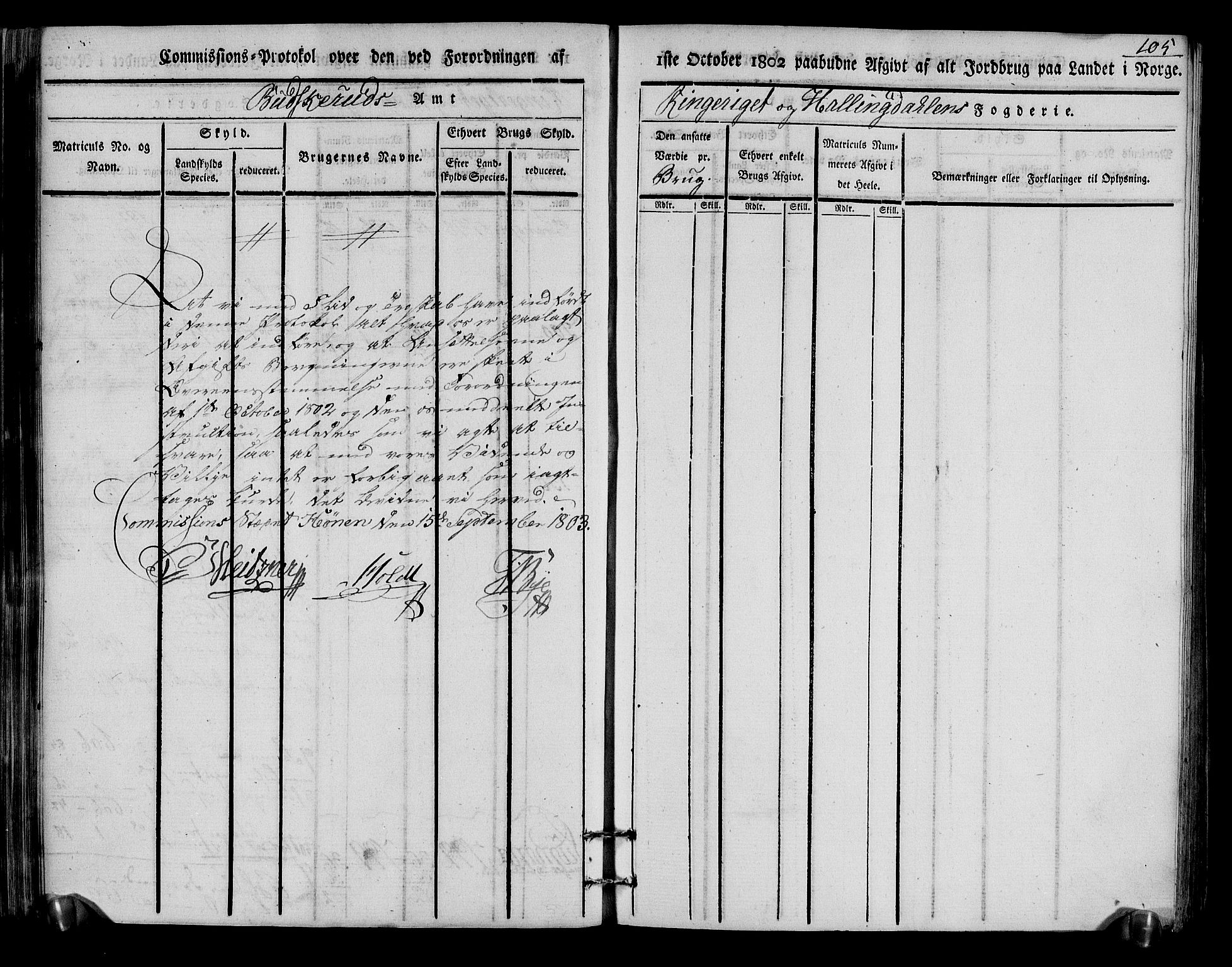 Rentekammeret inntil 1814, Realistisk ordnet avdeling, AV/RA-EA-4070/N/Ne/Nea/L0048: Ringerike og Hallingdal fogderi. Kommisjonsprotokoll for Ål prestegjeld, 1803, p. 109