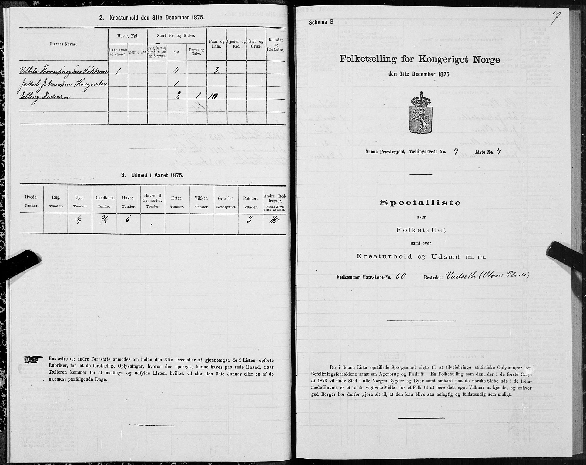 SAT, 1875 census for 1529P Skodje, 1875, p. 3007