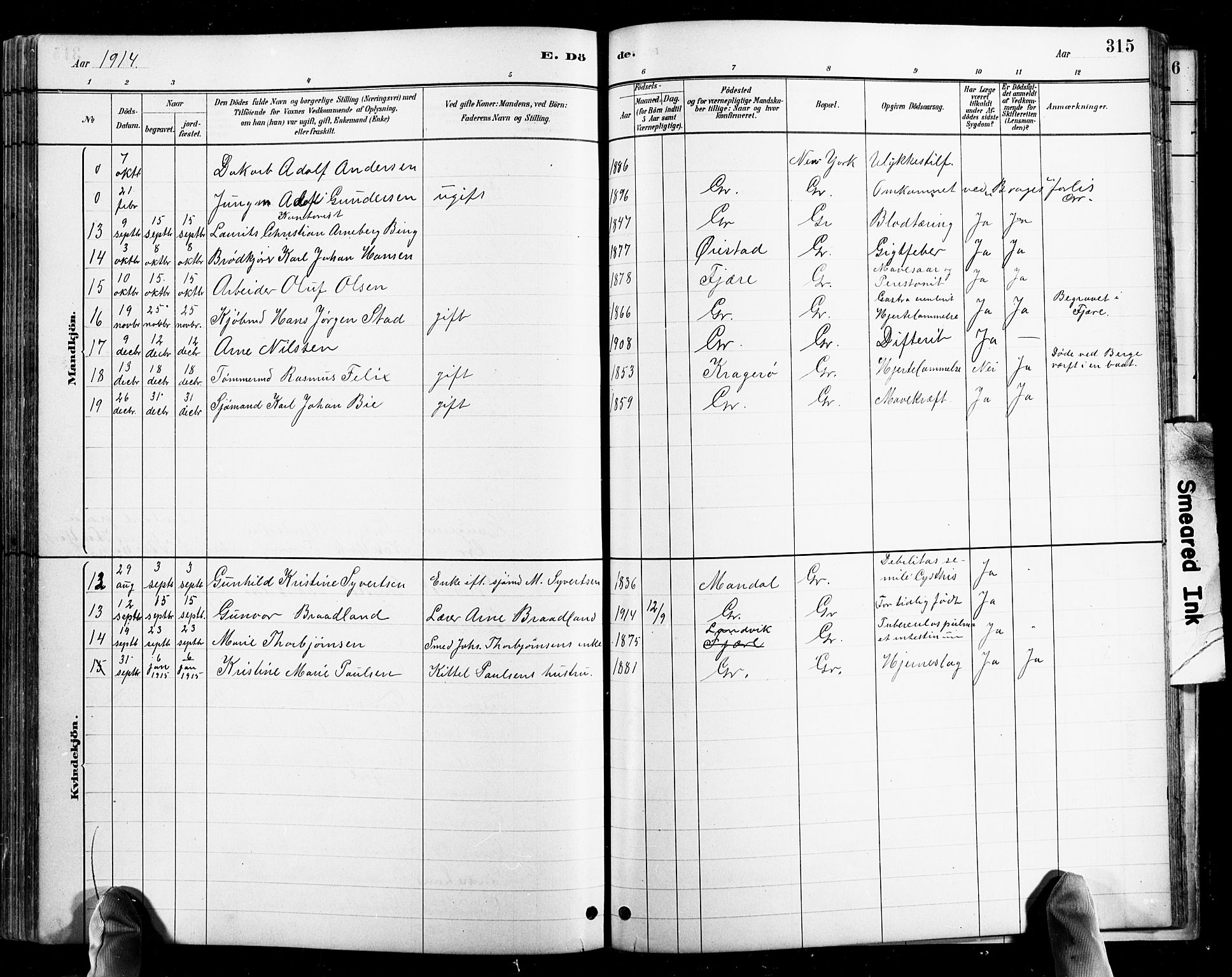 Grimstad sokneprestkontor, AV/SAK-1111-0017/F/Fb/L0001: Parish register (copy) no. B 1, 1881-1922, p. 315